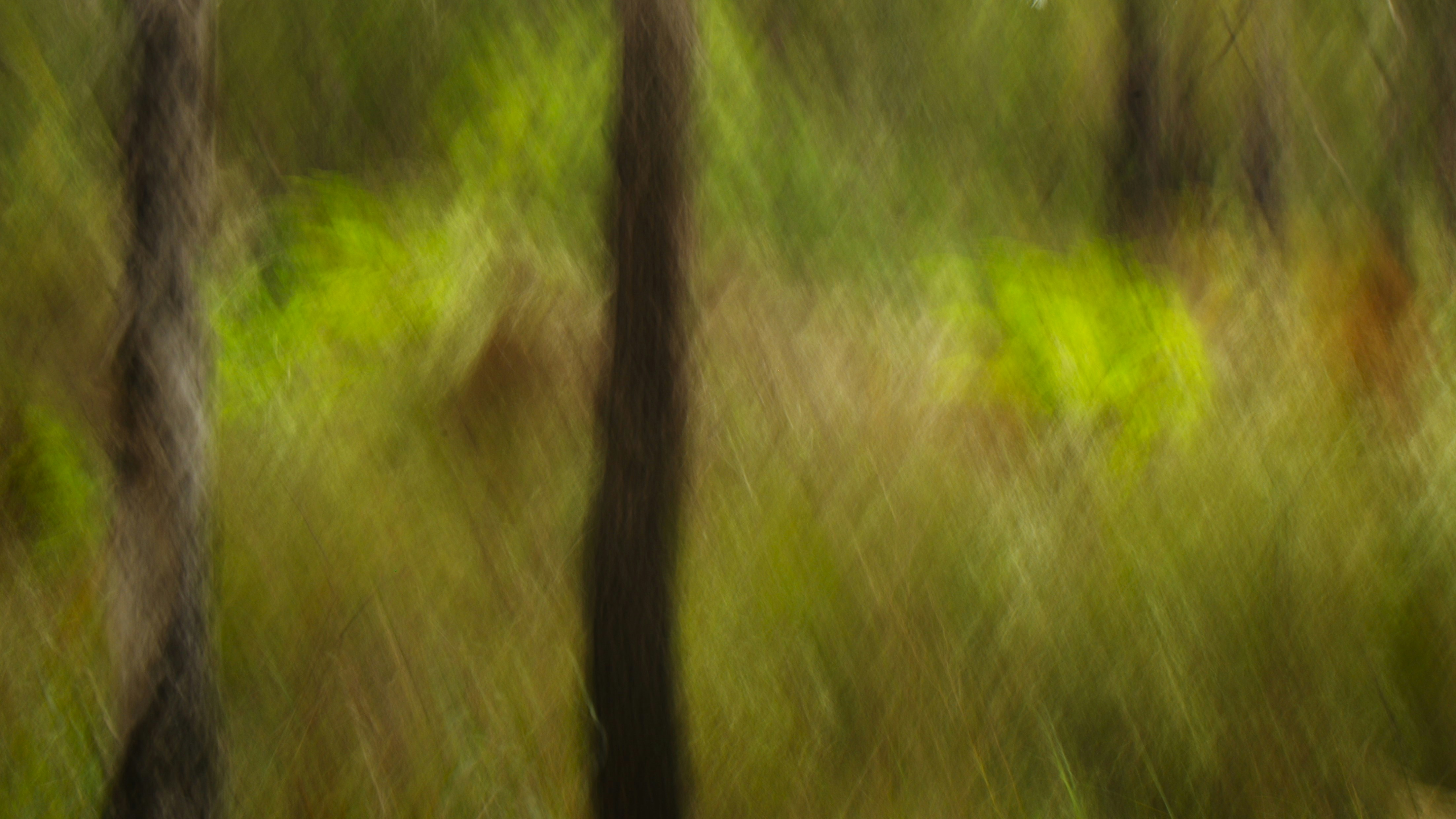 Photo by photoken123