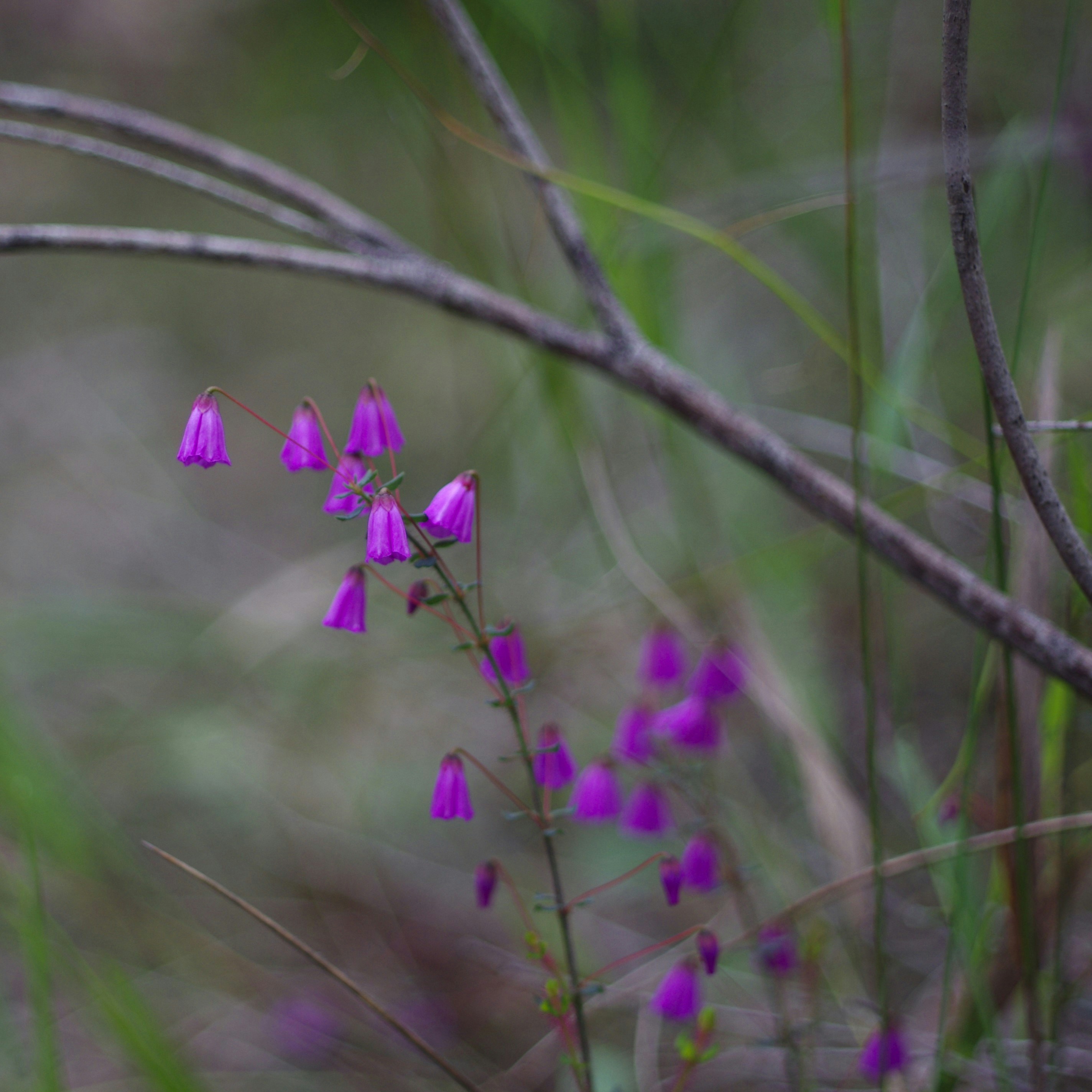 Photo by photoken123