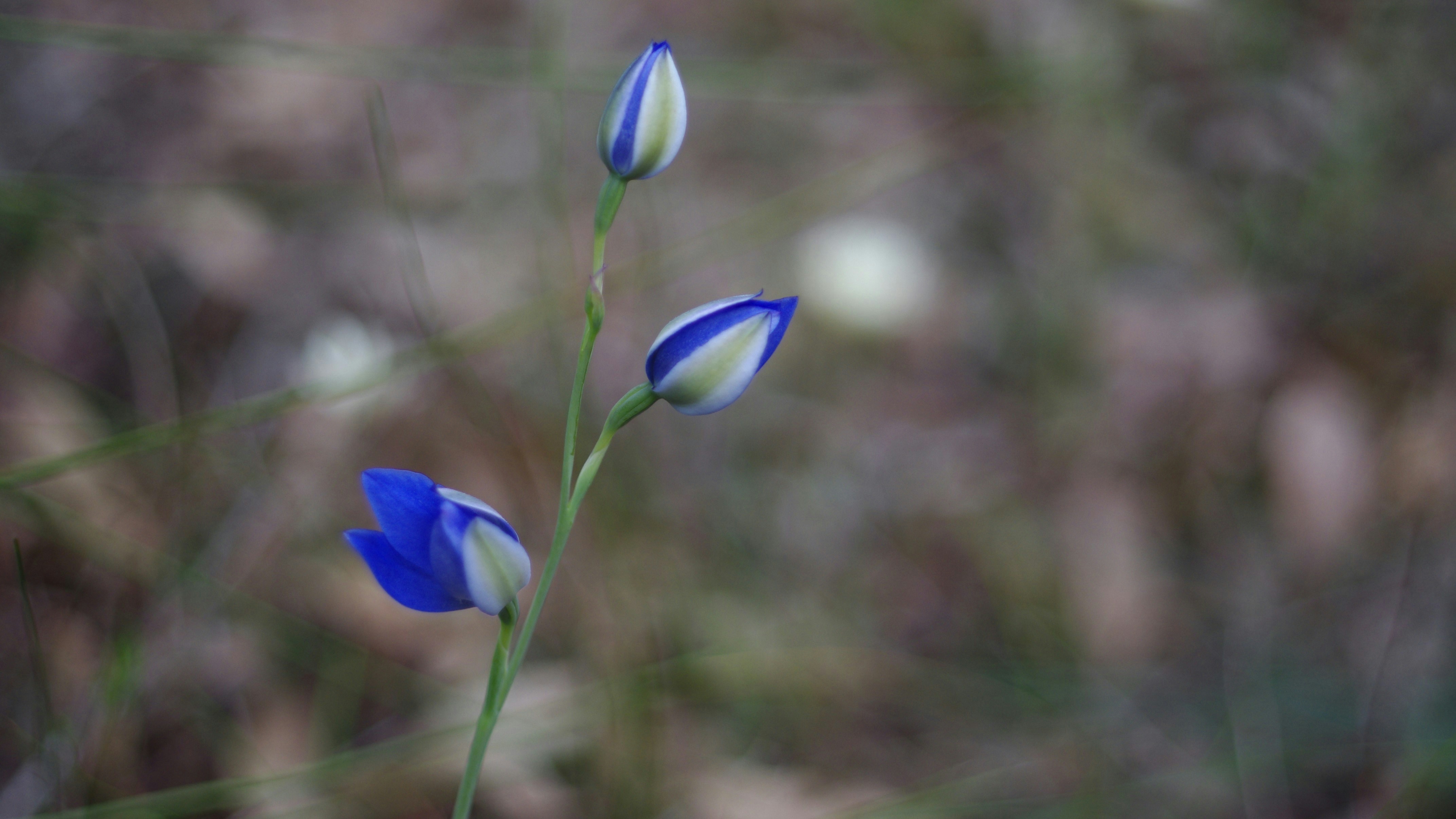 Photo by photoken123