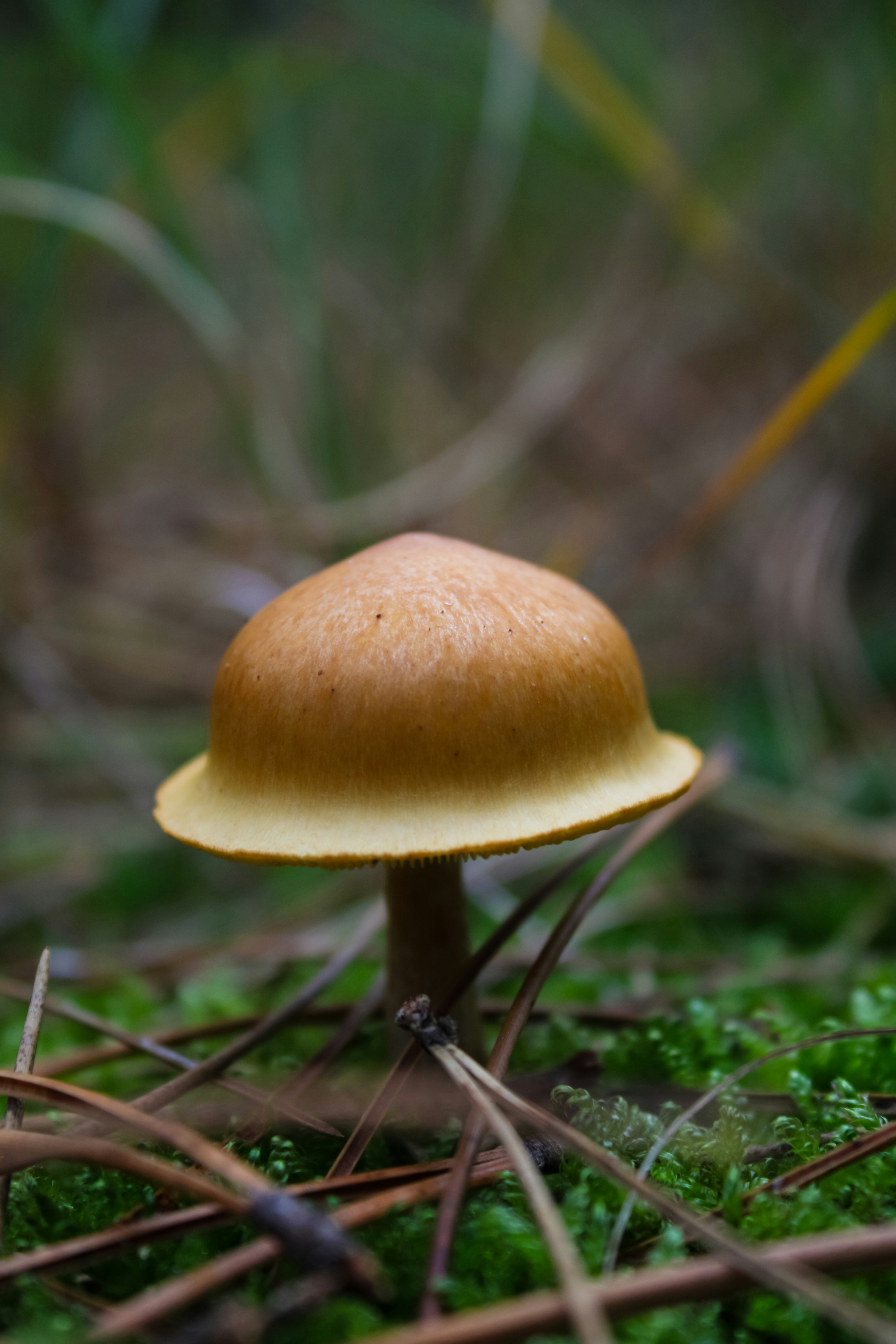 Photo by _jellephotography