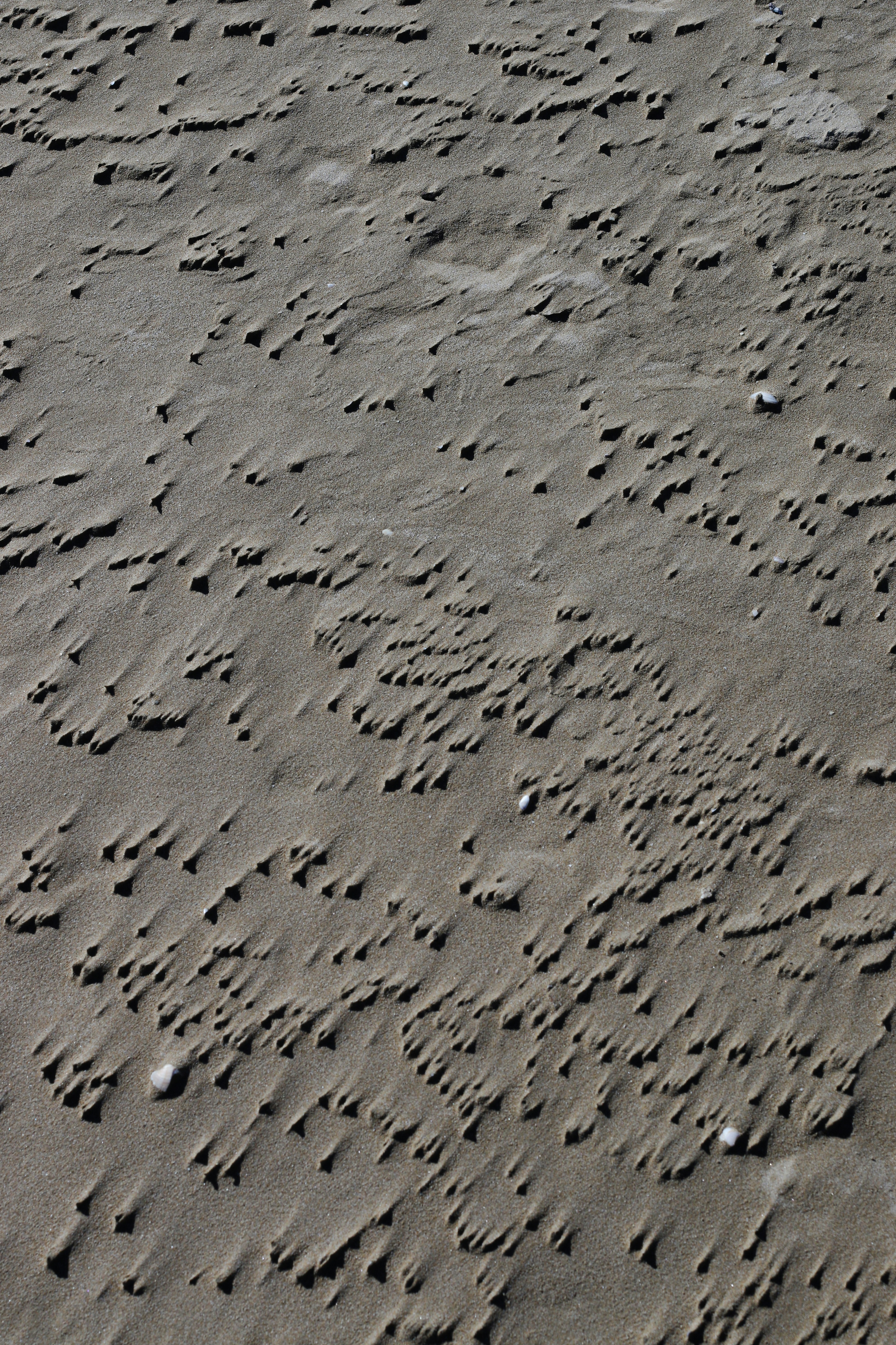 Photo by ivasyk_maryan25