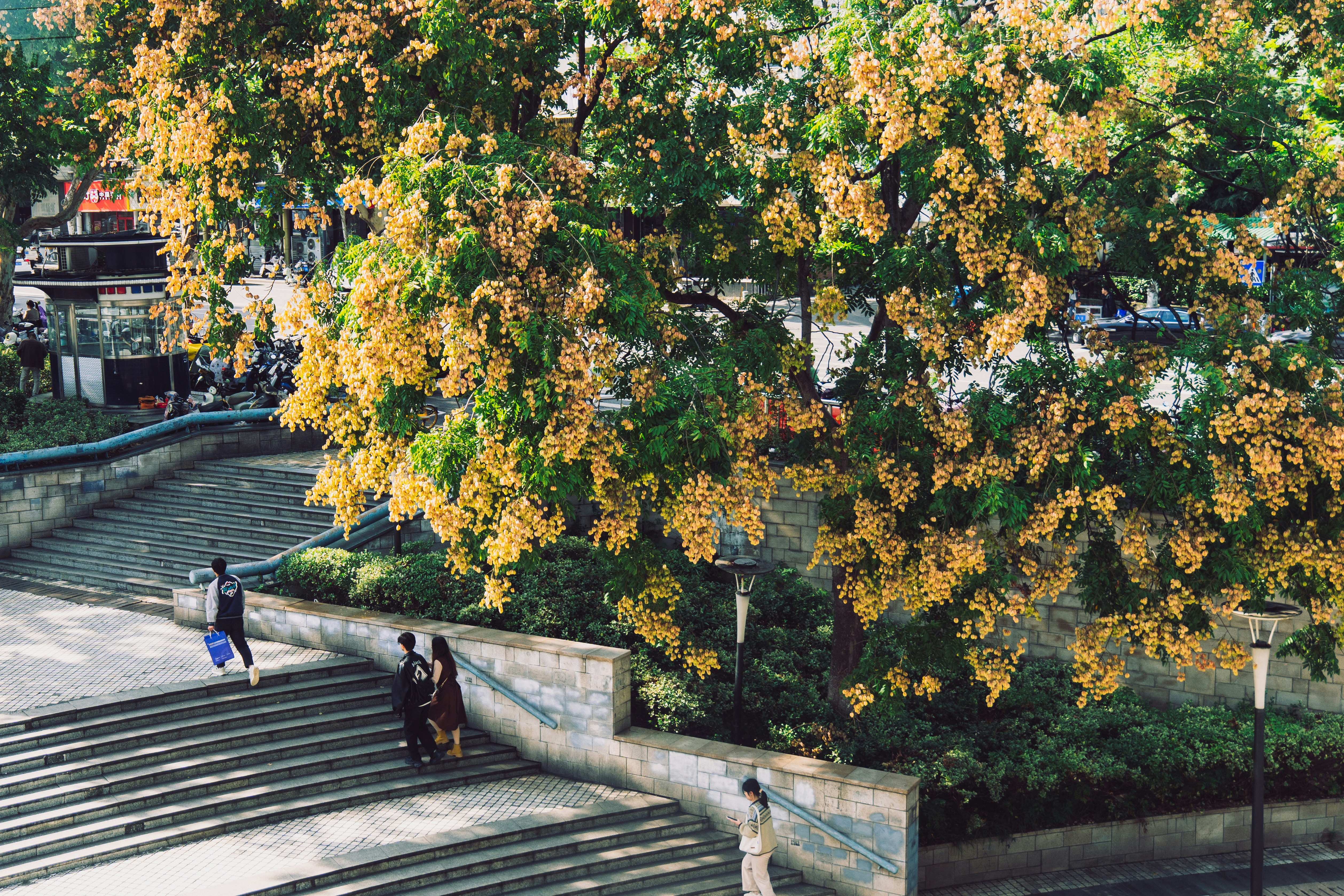 Photo by aasing_gwok