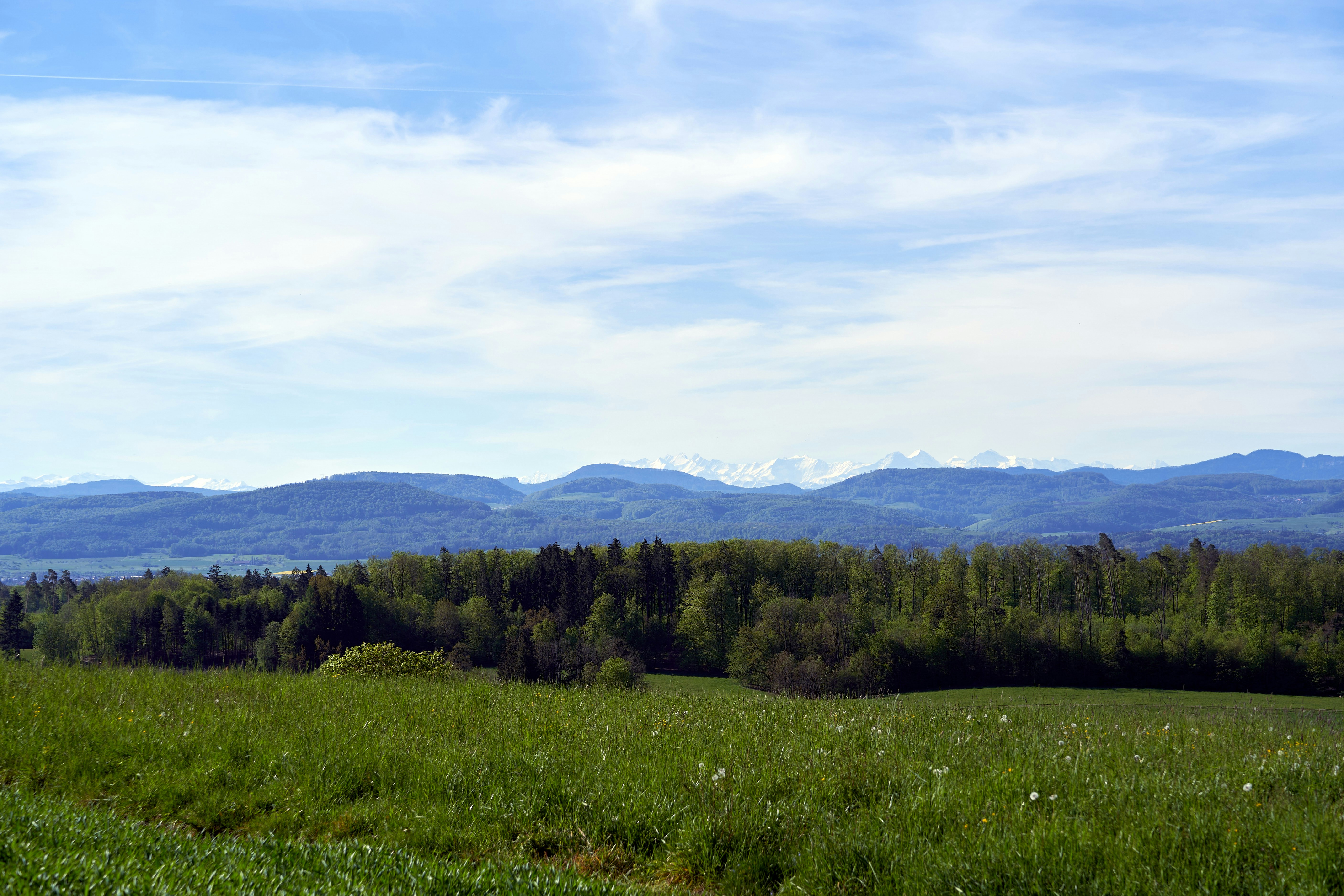 Photo by wolfgang_hasselmann