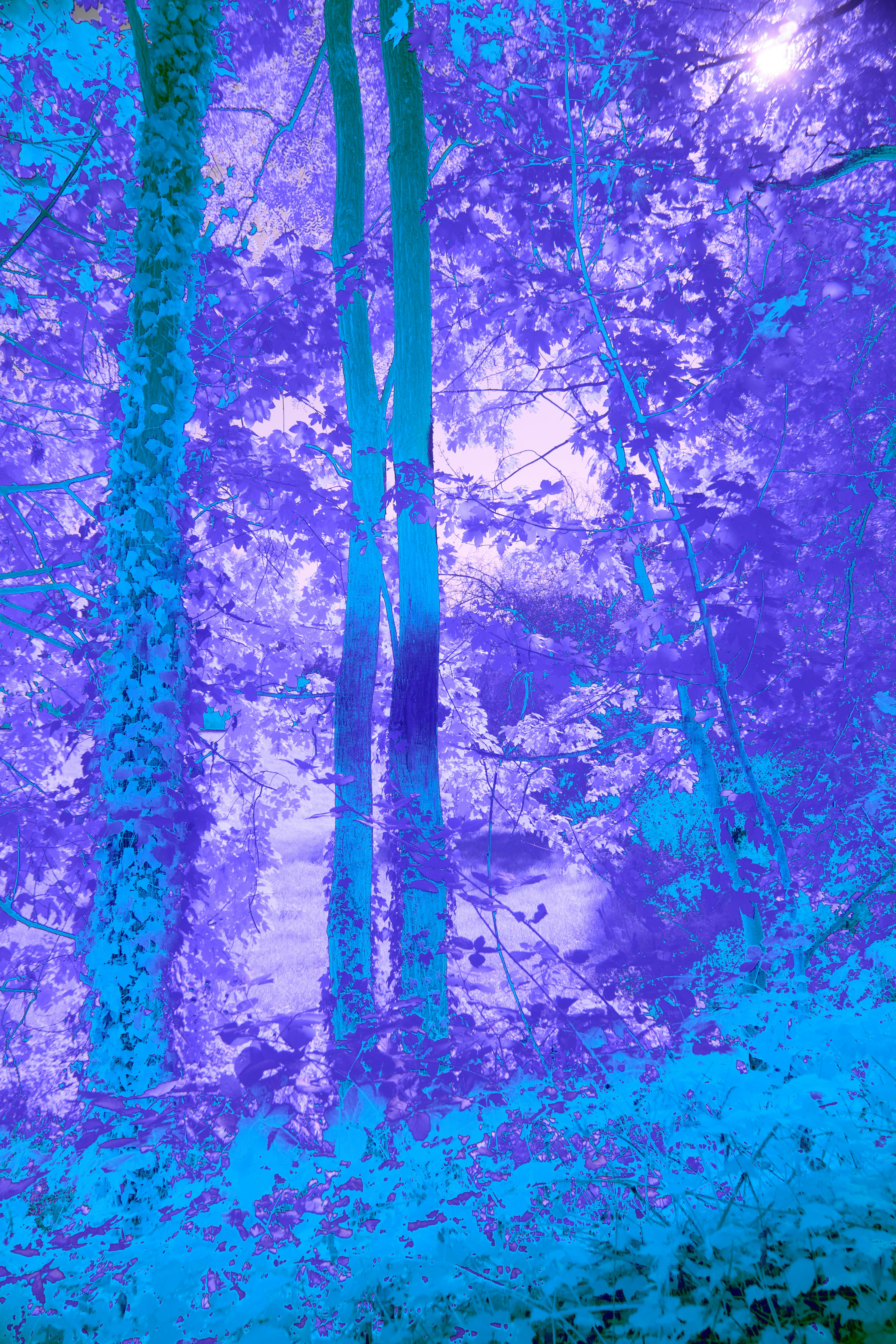 Photo by wolfgang_hasselmann