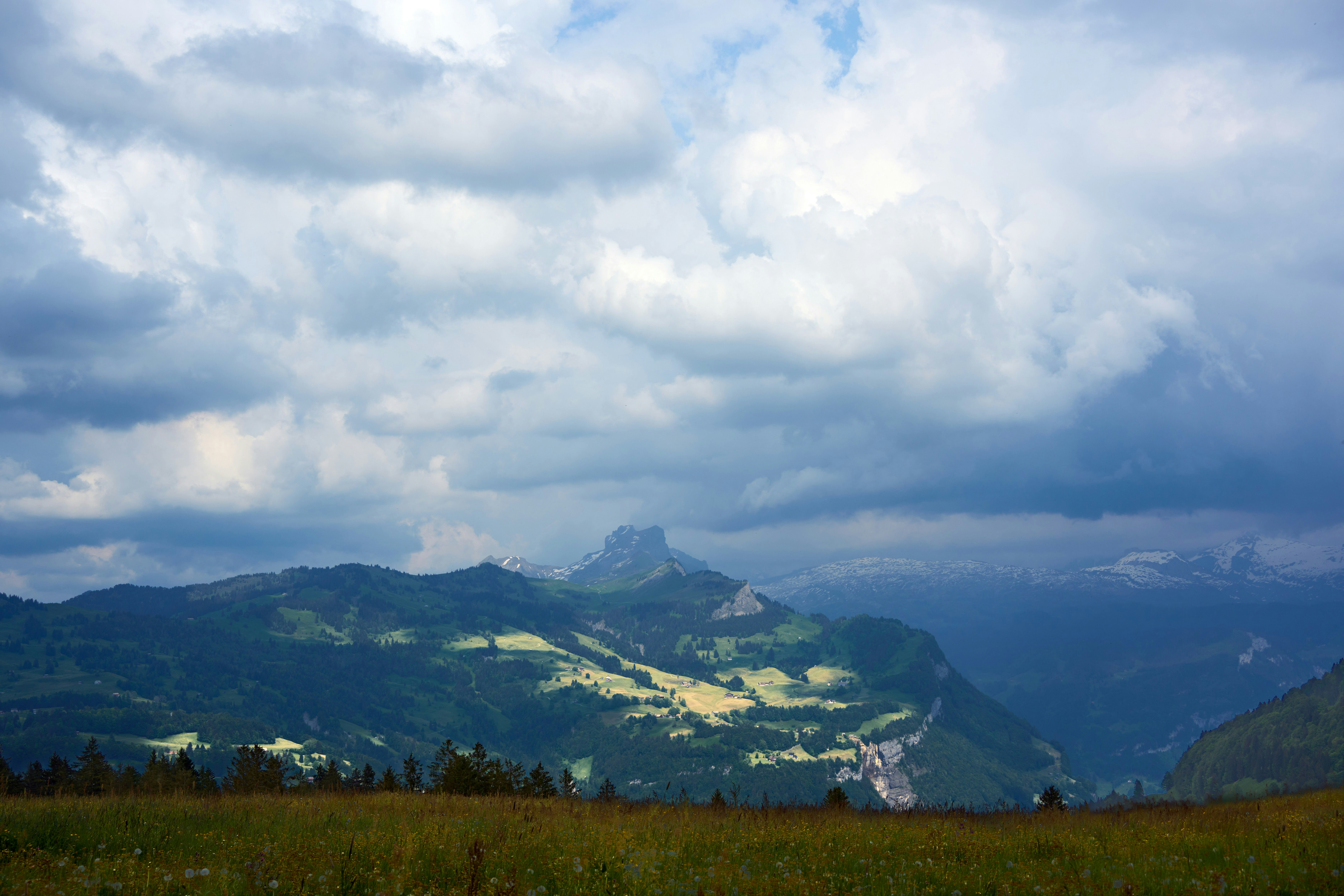 Photo by wolfgang_hasselmann