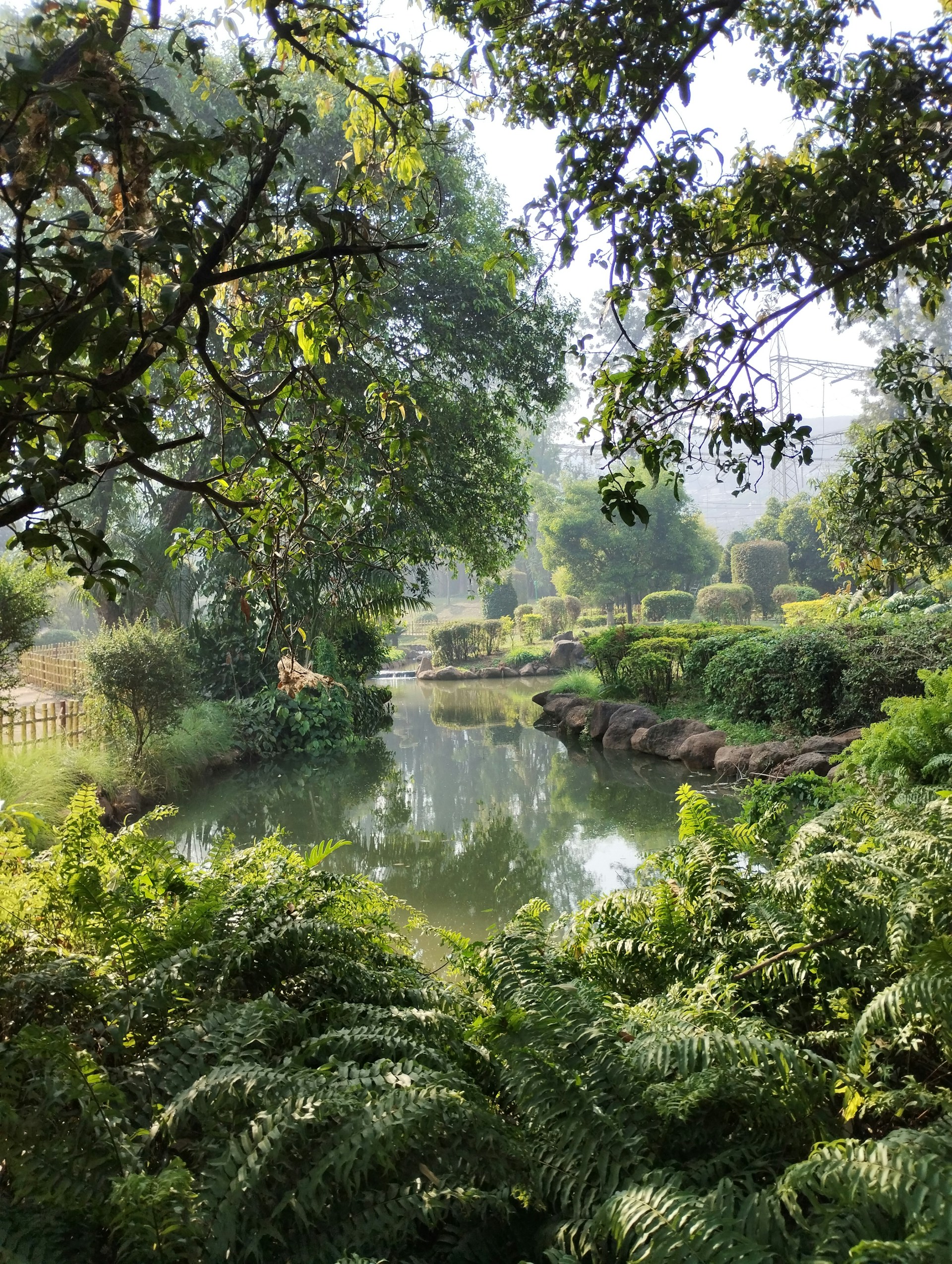 A pond surrounded by lush green trees and bushes