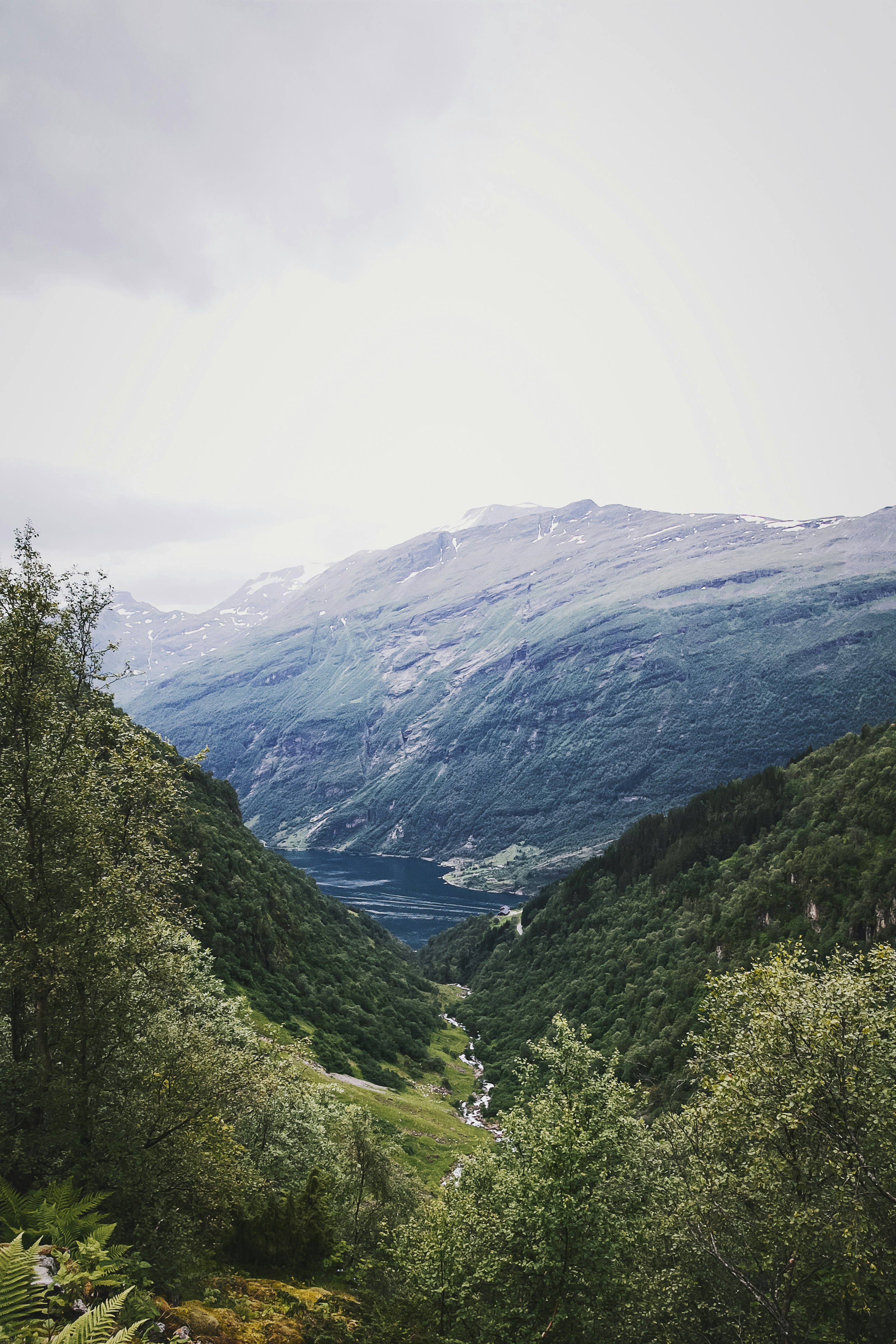 A view of a valley with mountains in the background