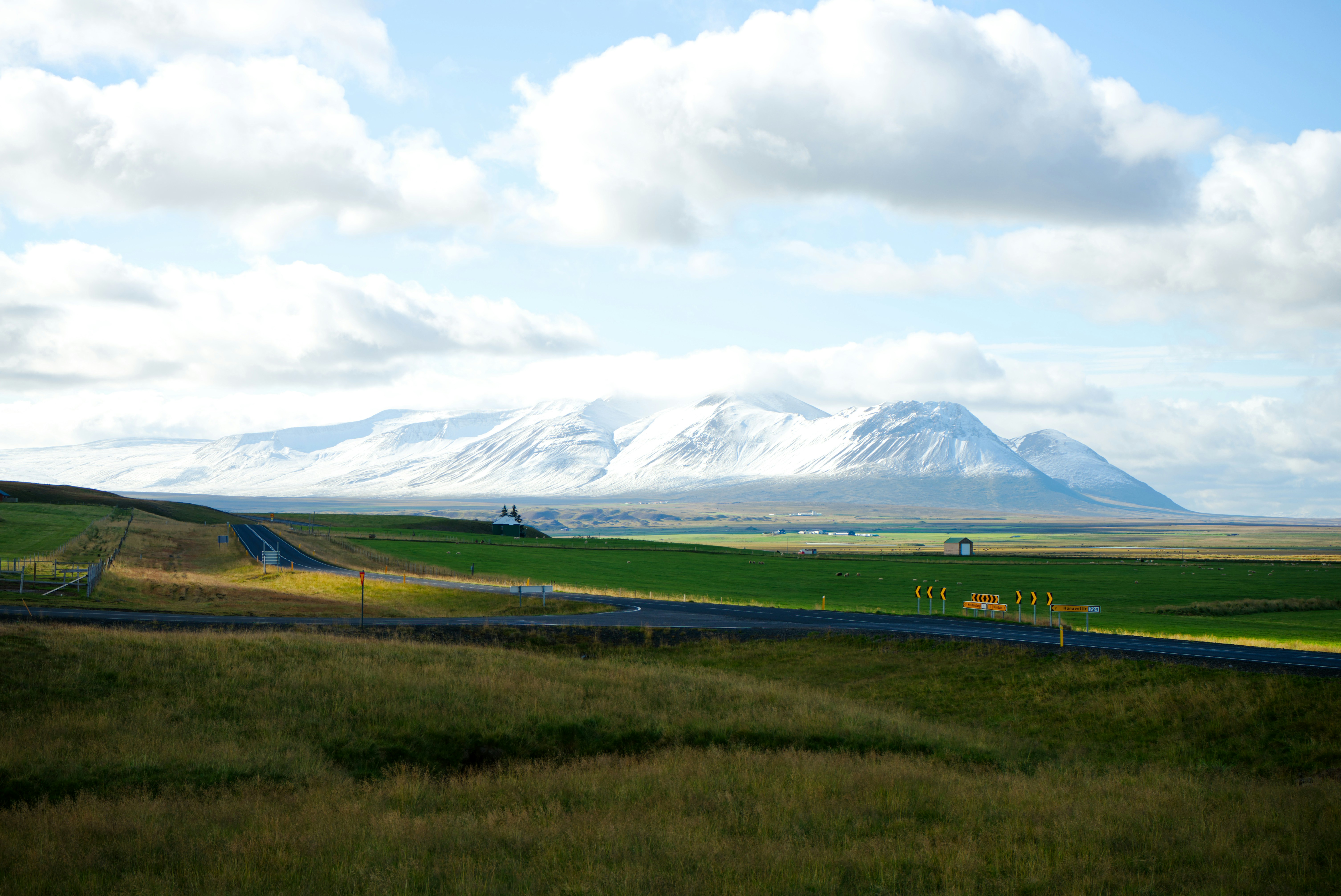 A field with a mountain in the background