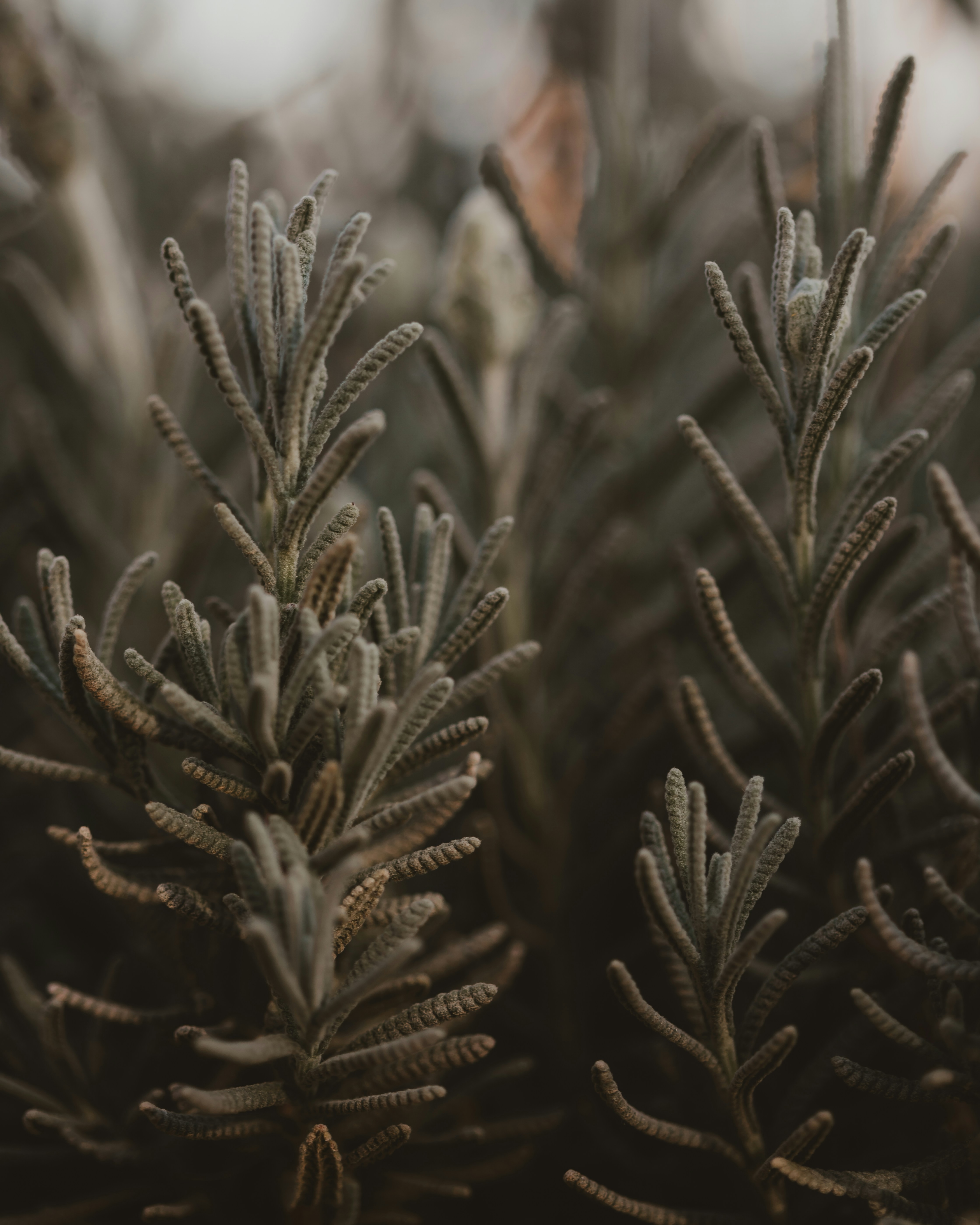 Photo by sixteenmilesout