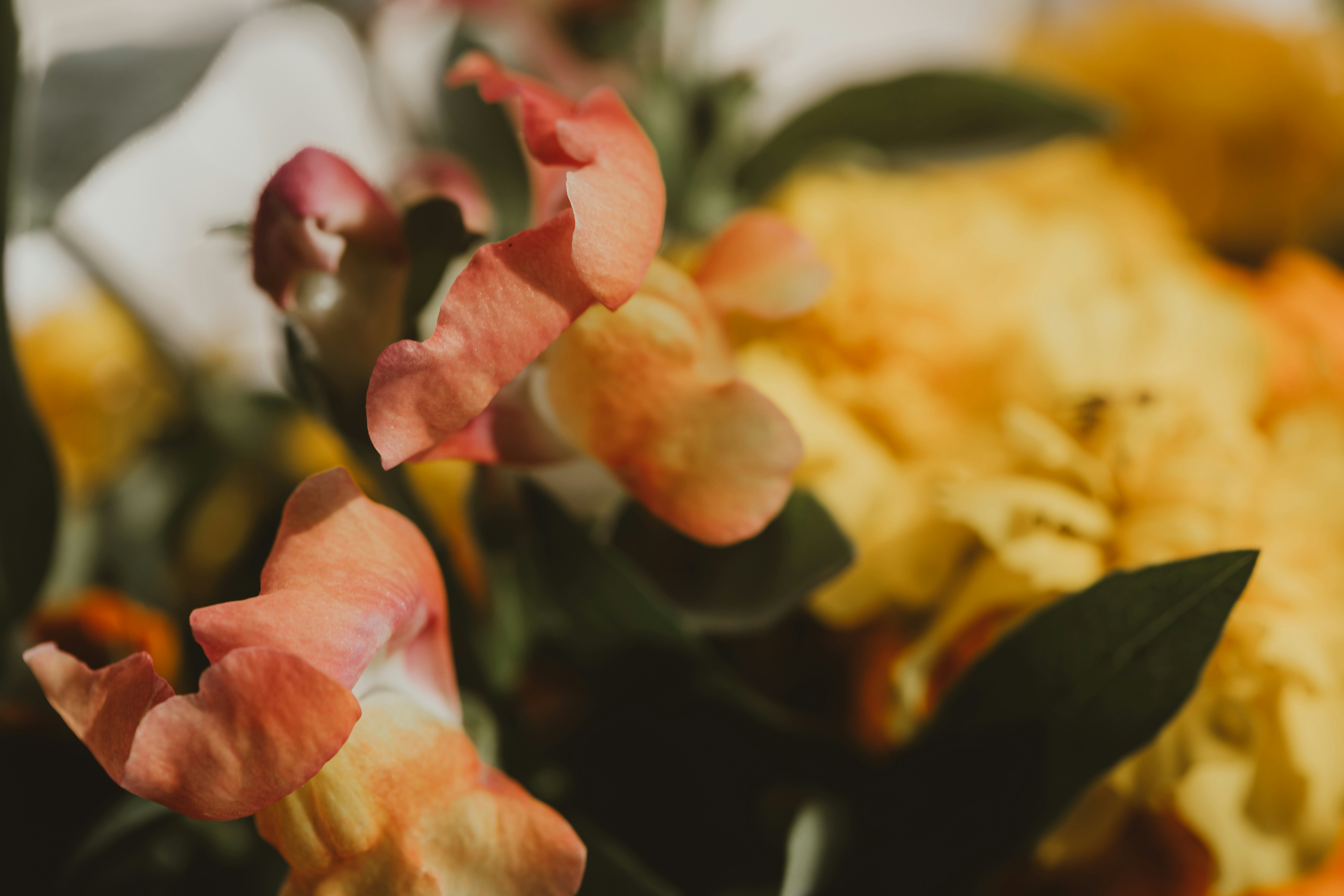 Photo by sixteenmilesout