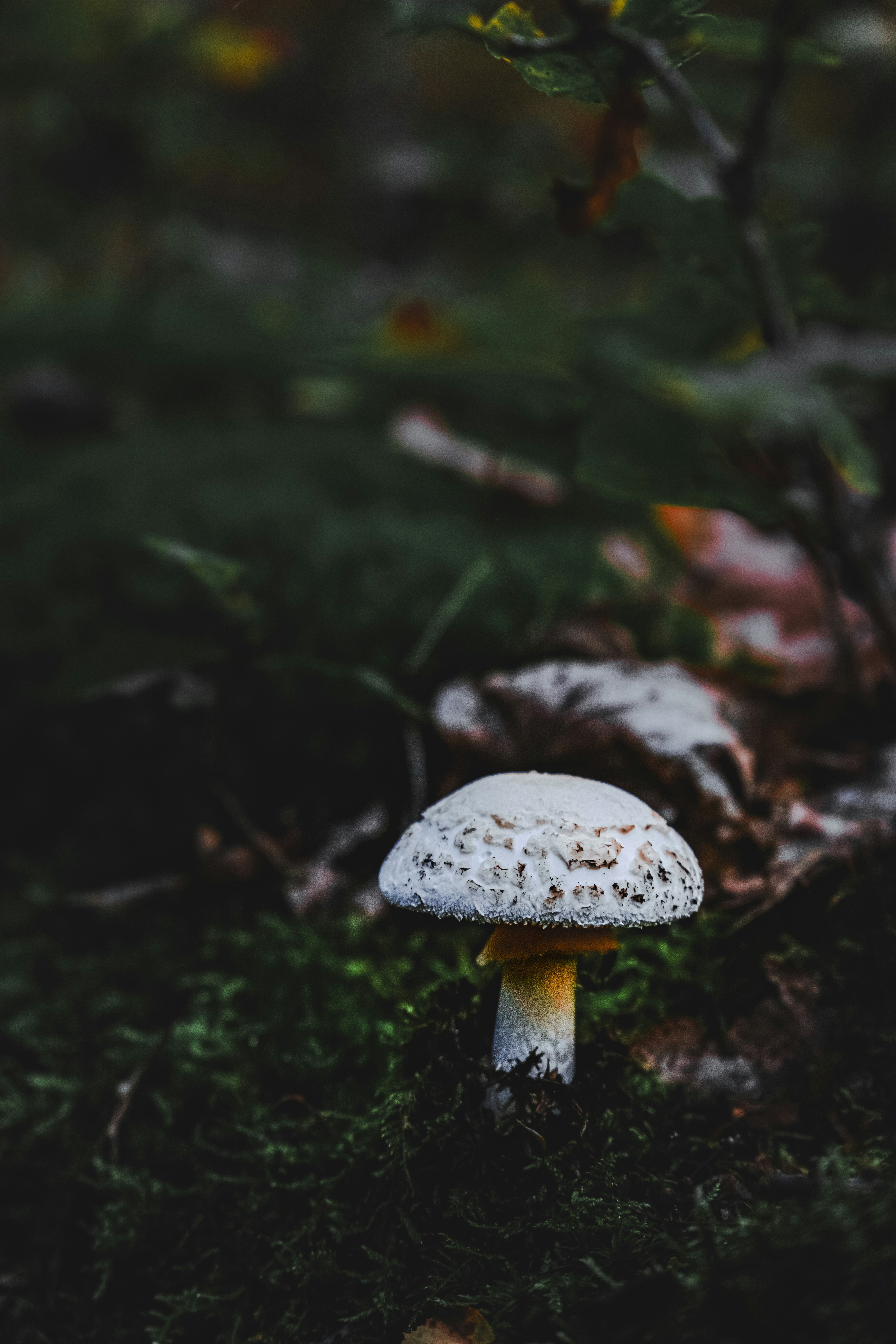 Photo by denisaficau