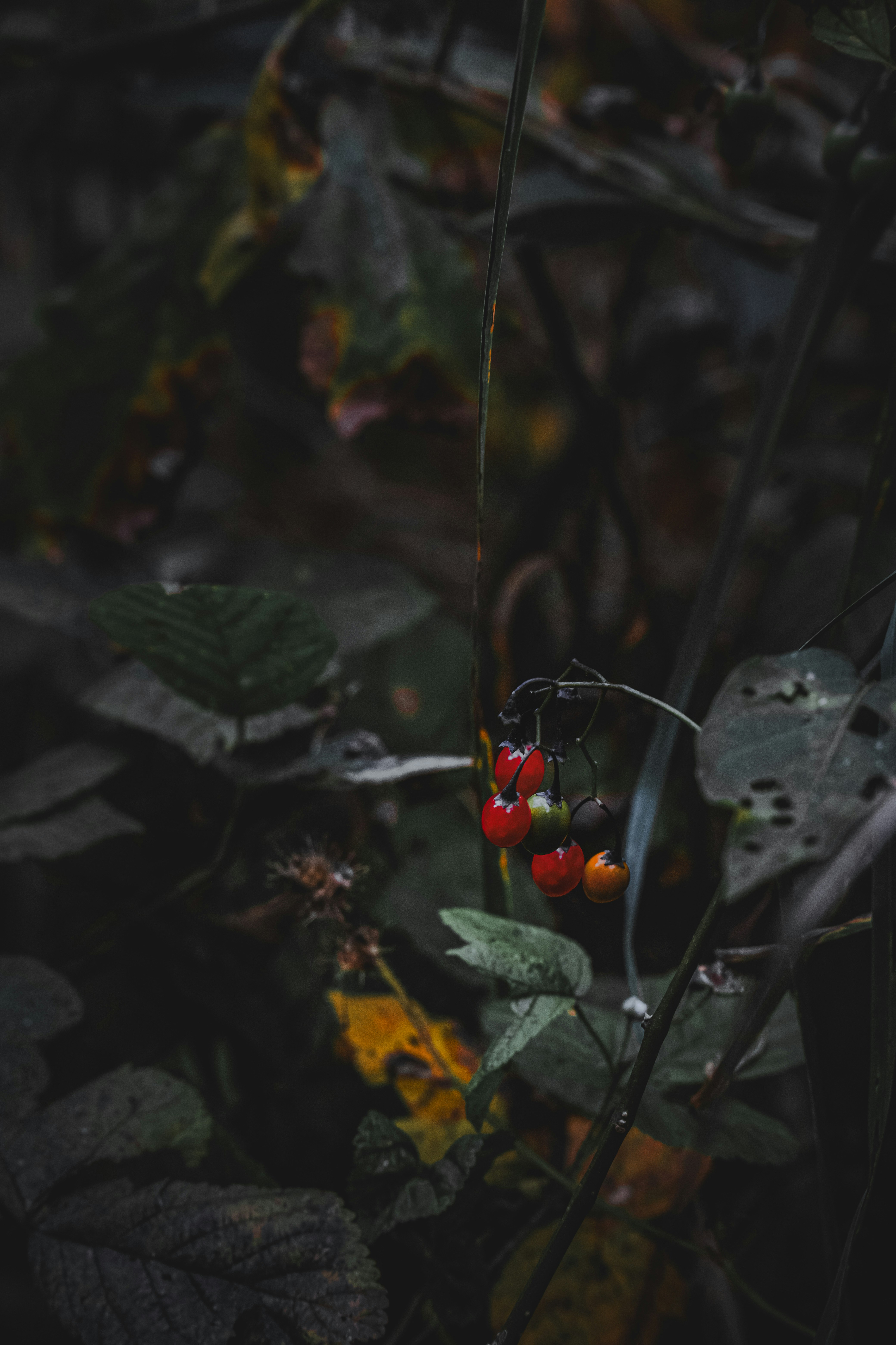 Photo by denisaficau