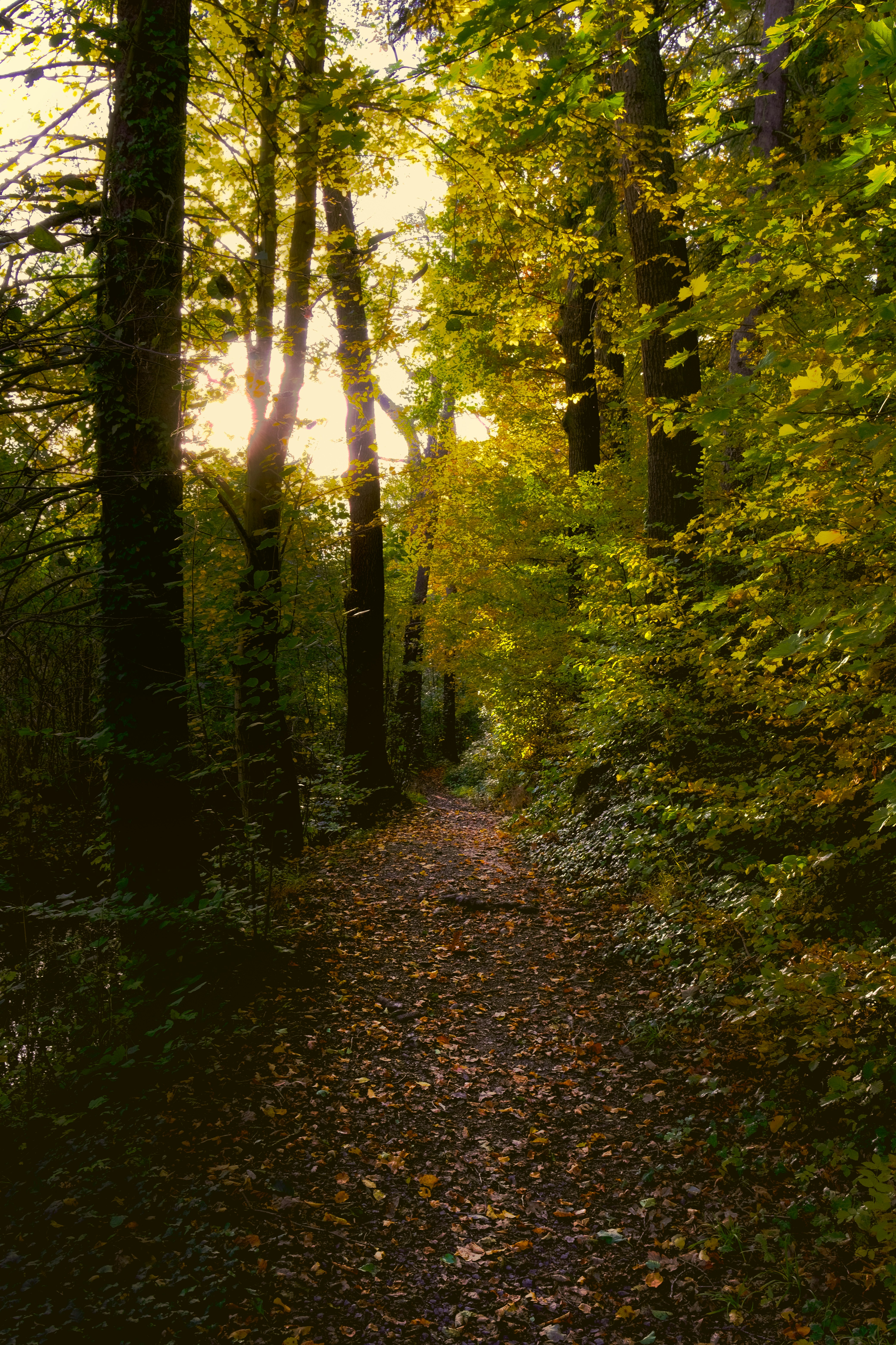 Photo by denisaficau