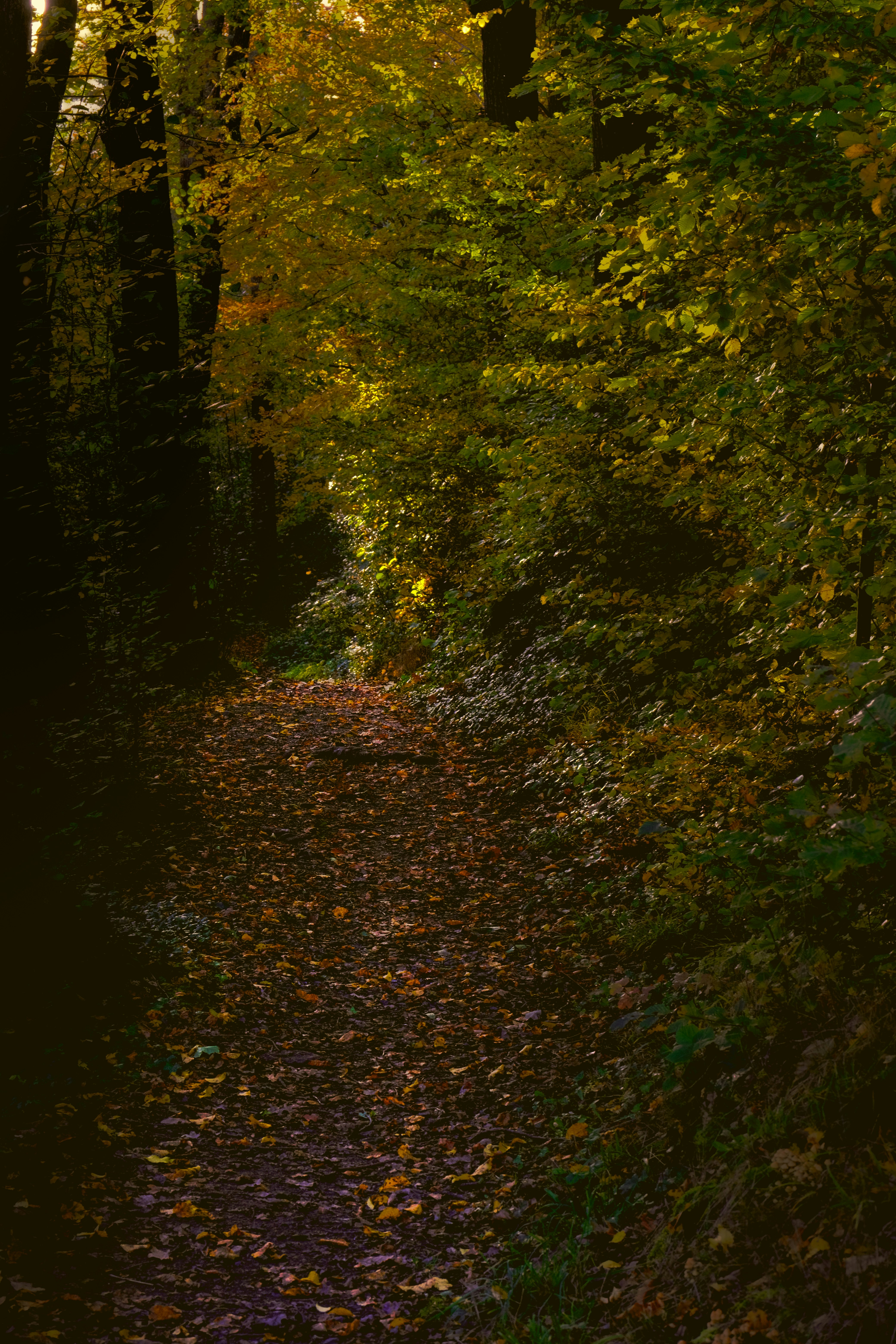 Photo by denisaficau