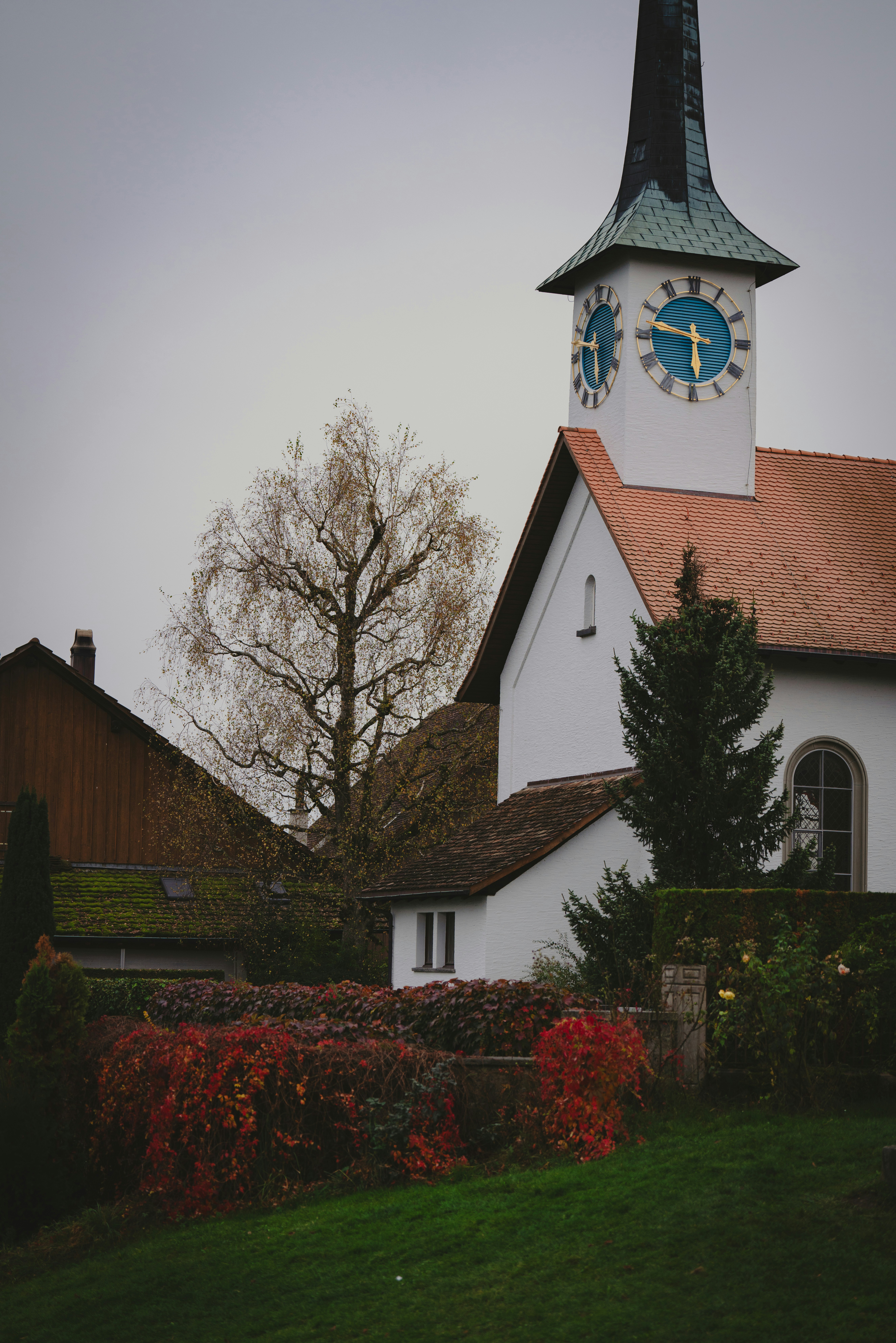 Photo by opohmelka