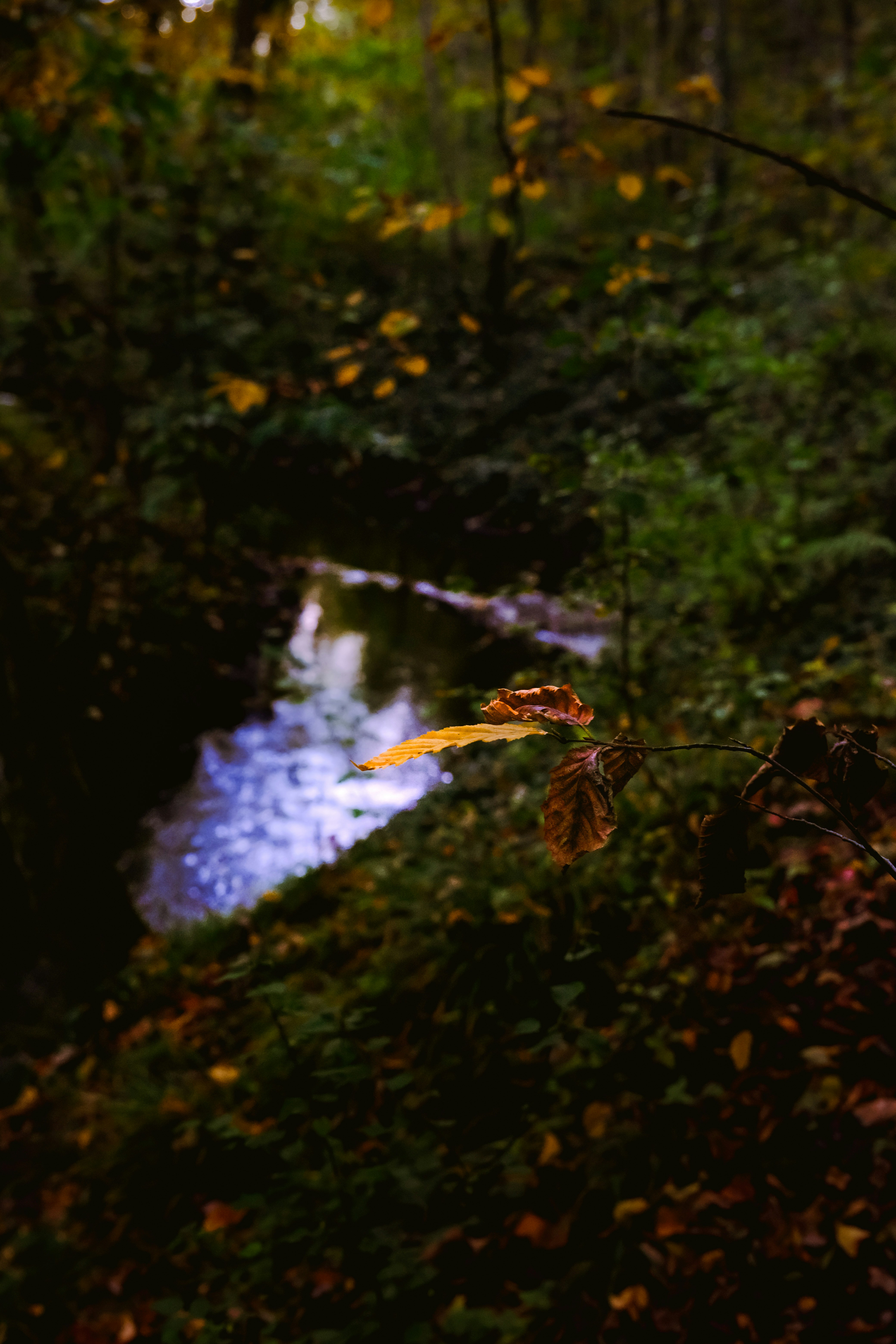 Photo by denisaficau