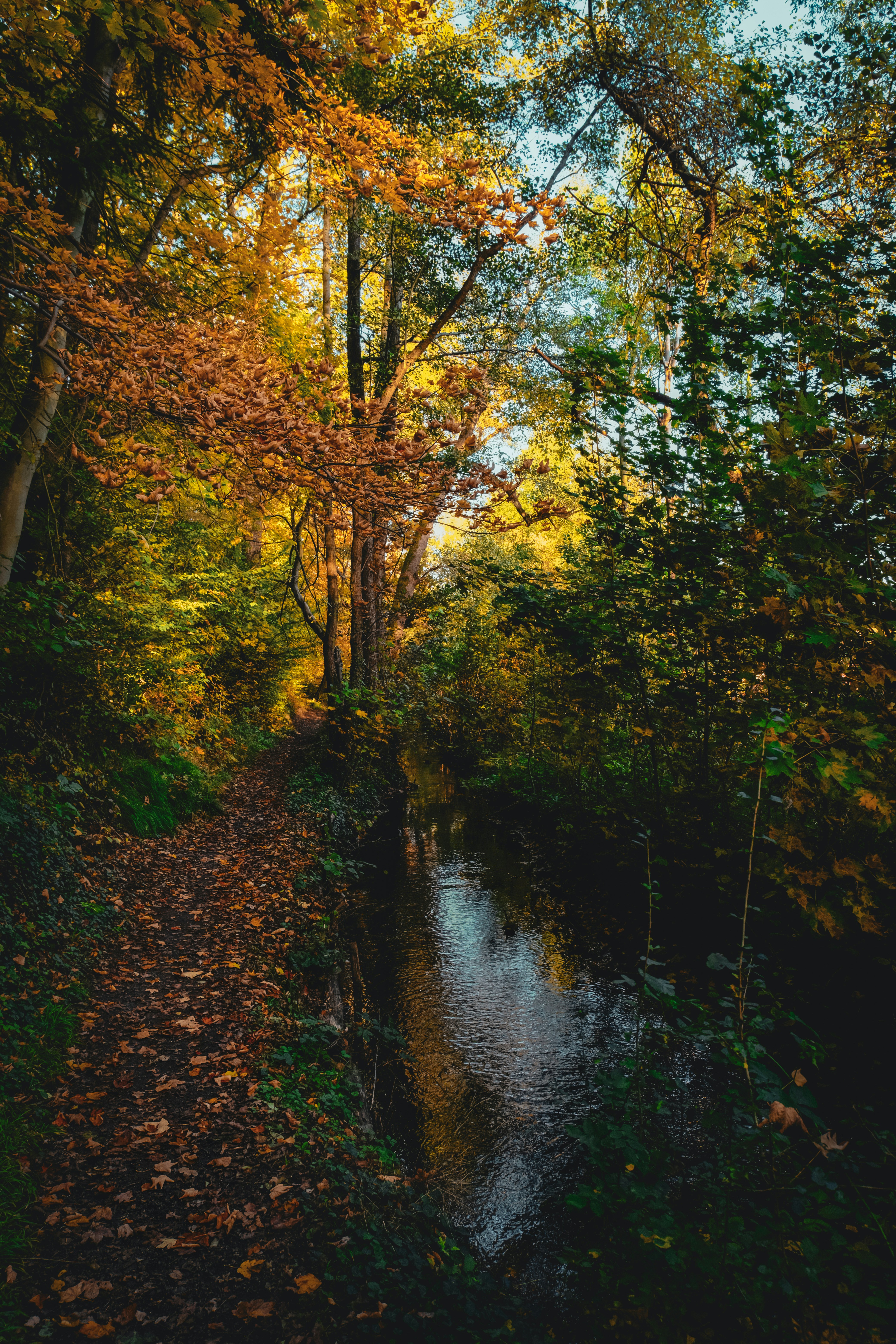 Photo by denisaficau