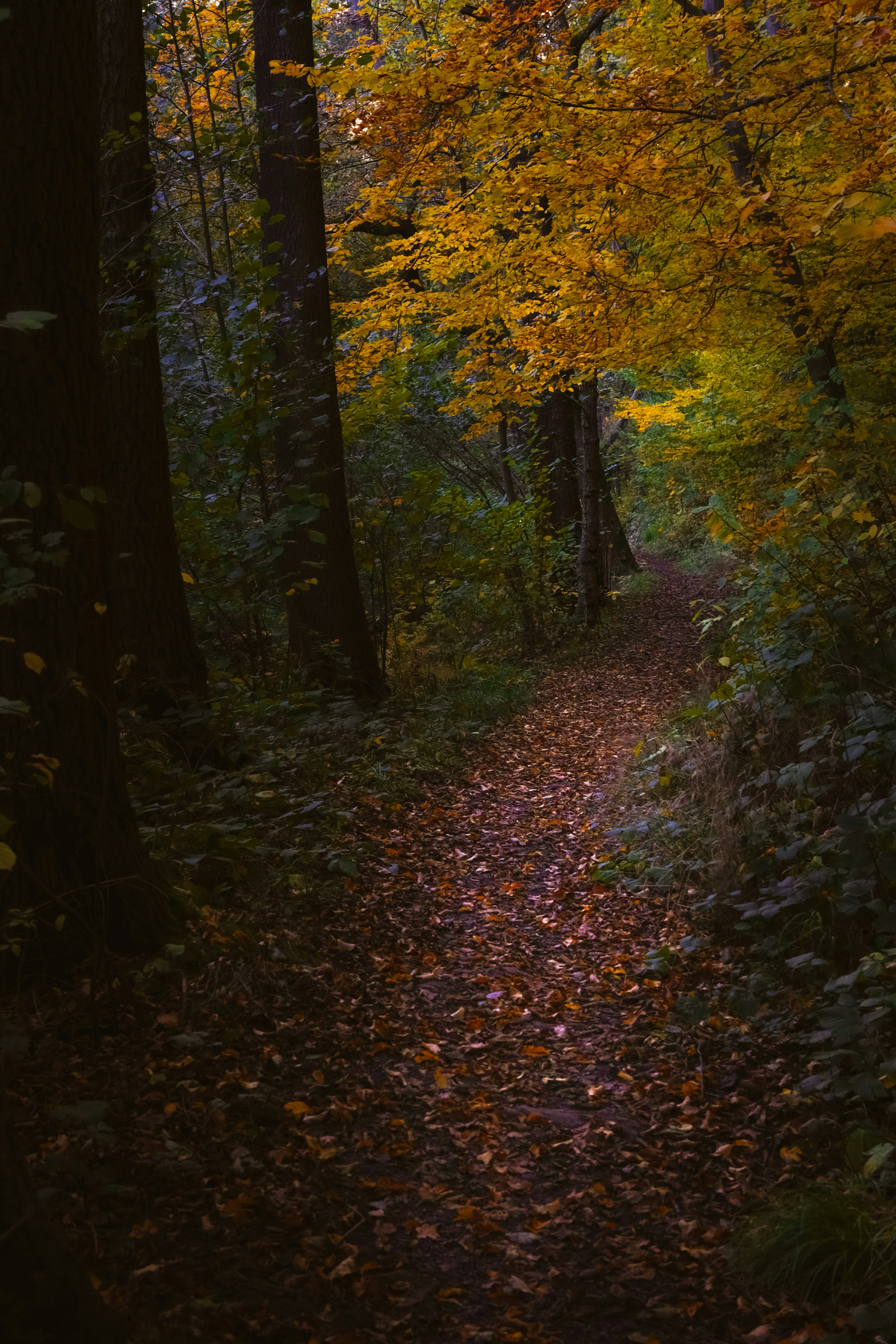 Photo by denisaficau