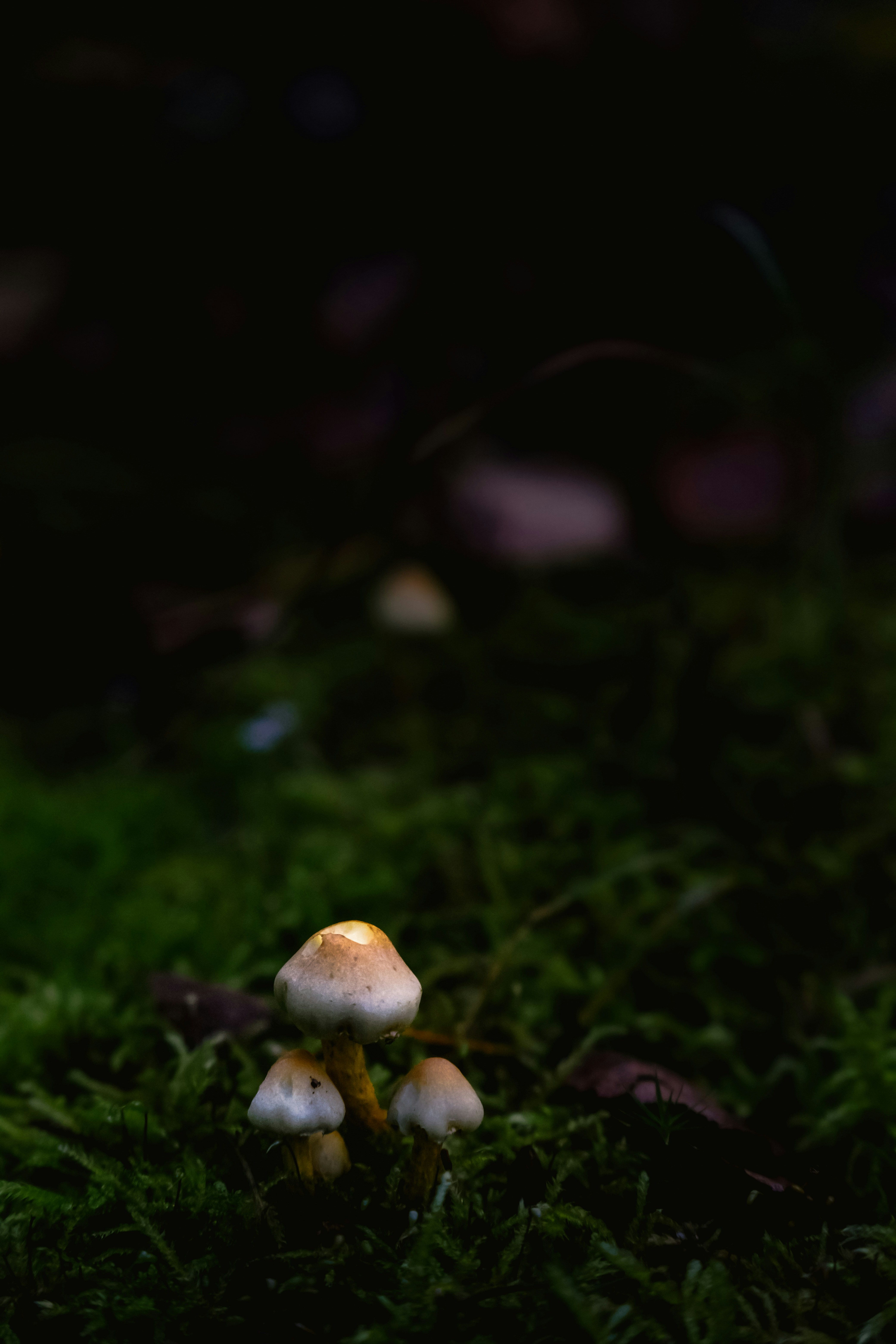 Photo by denisaficau