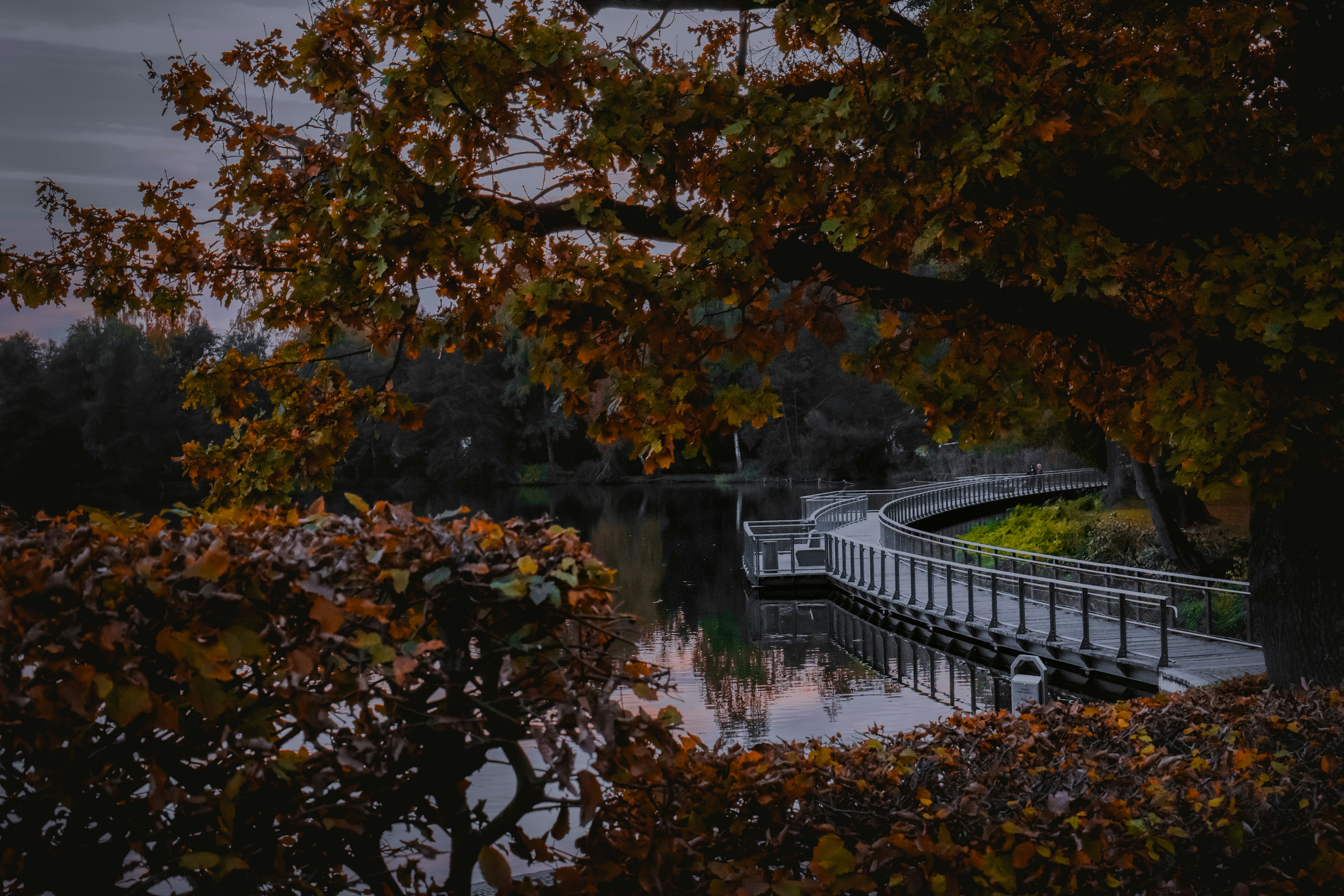 Photo by denisaficau