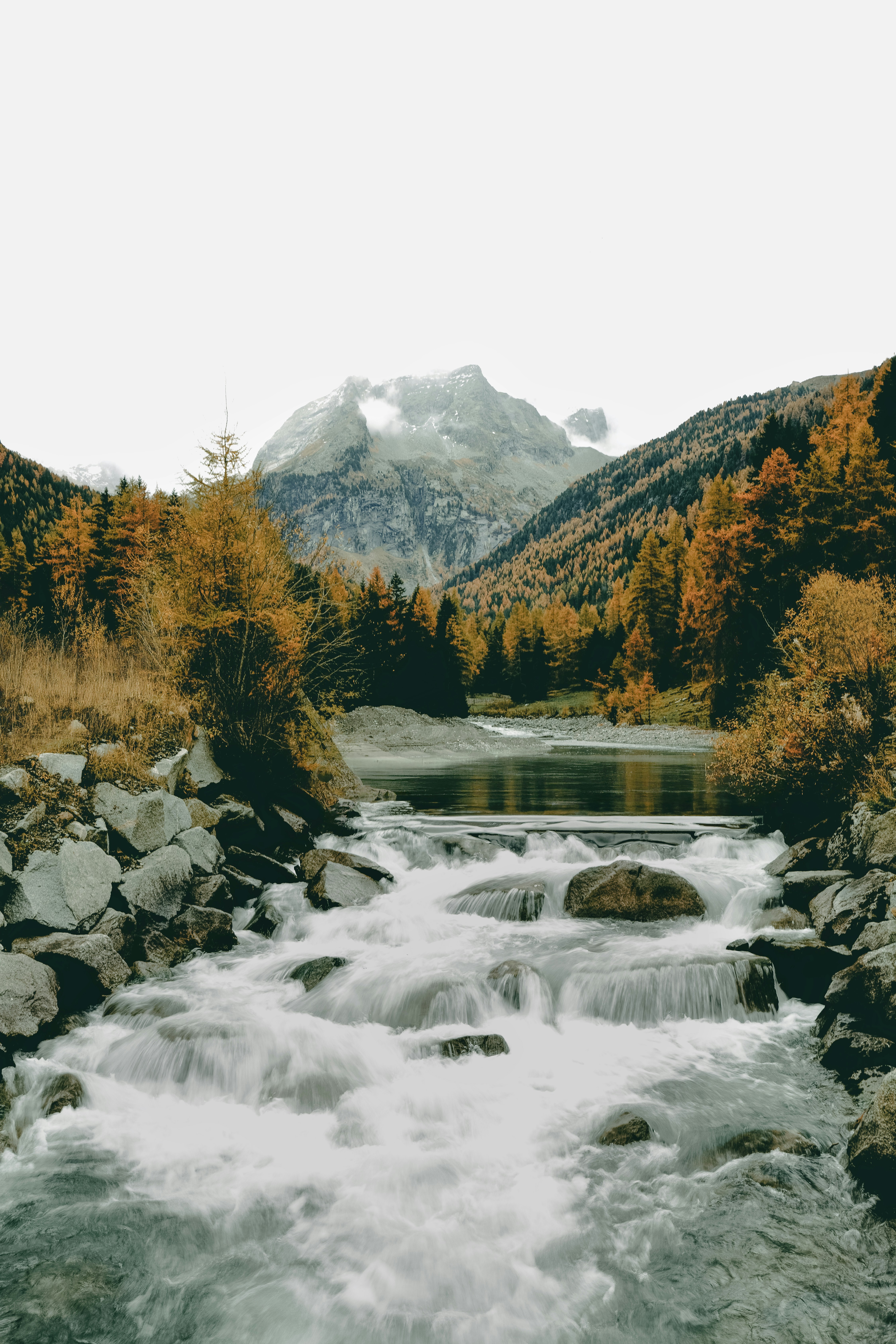 A river running through a lush green forest photo – Free Outdoors Image ...