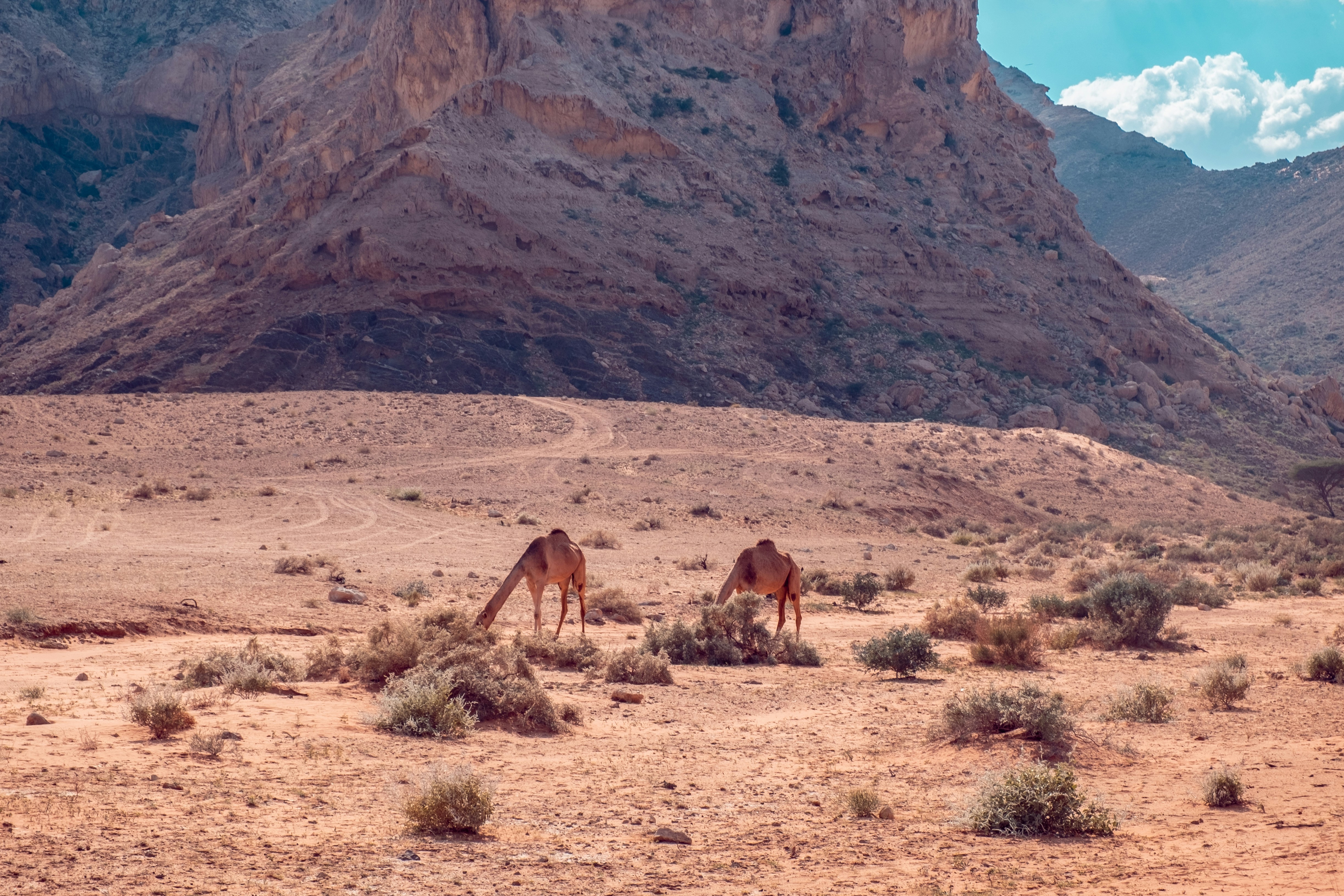 Photo by mo_design_3d