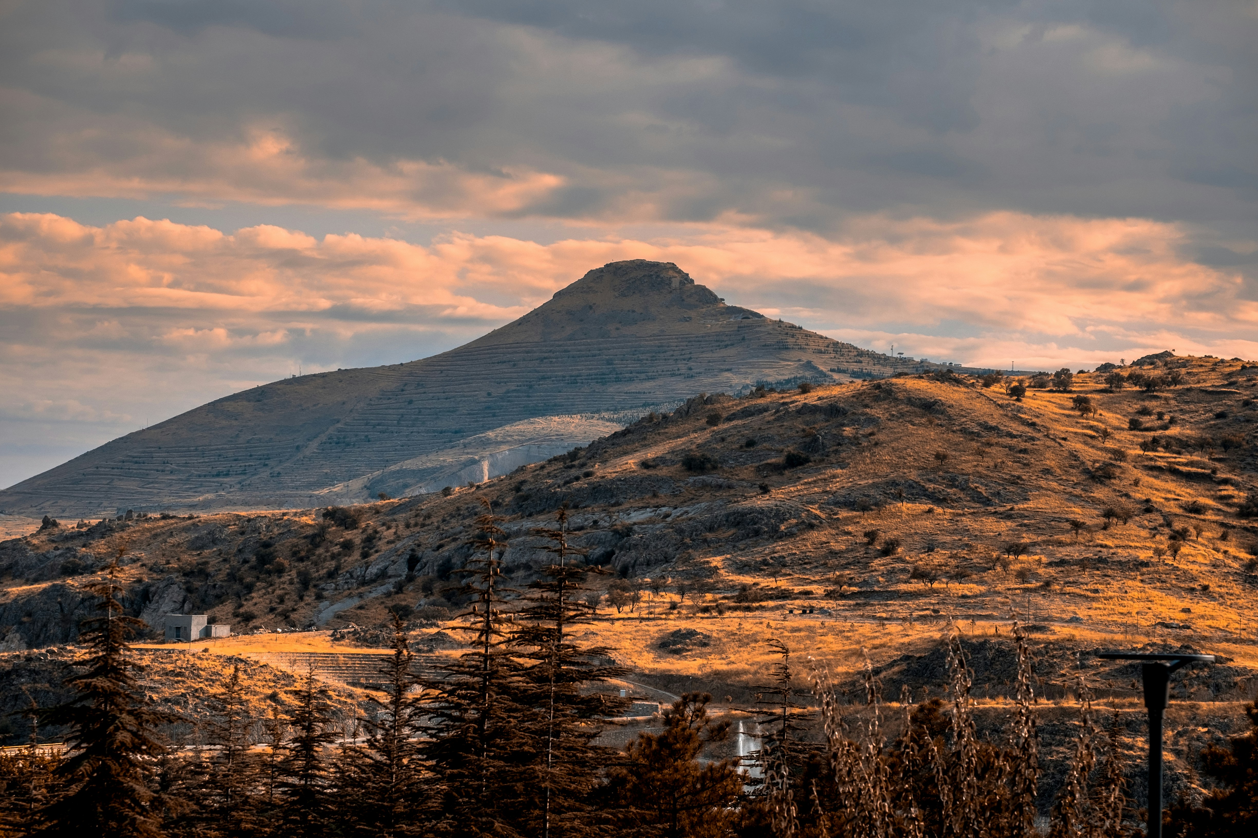 Photo by mo_design_3d