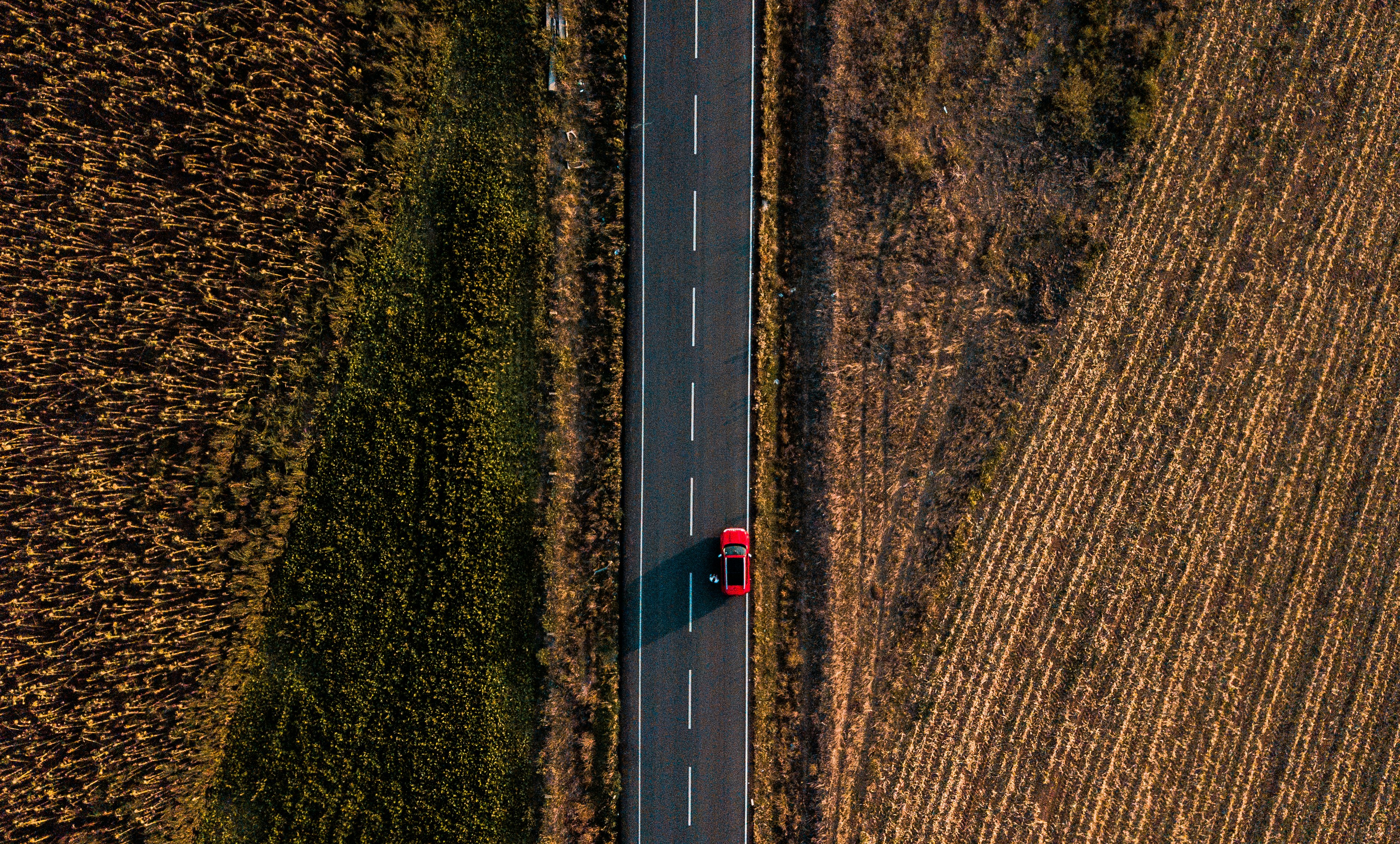 Photo by mo_design_3d