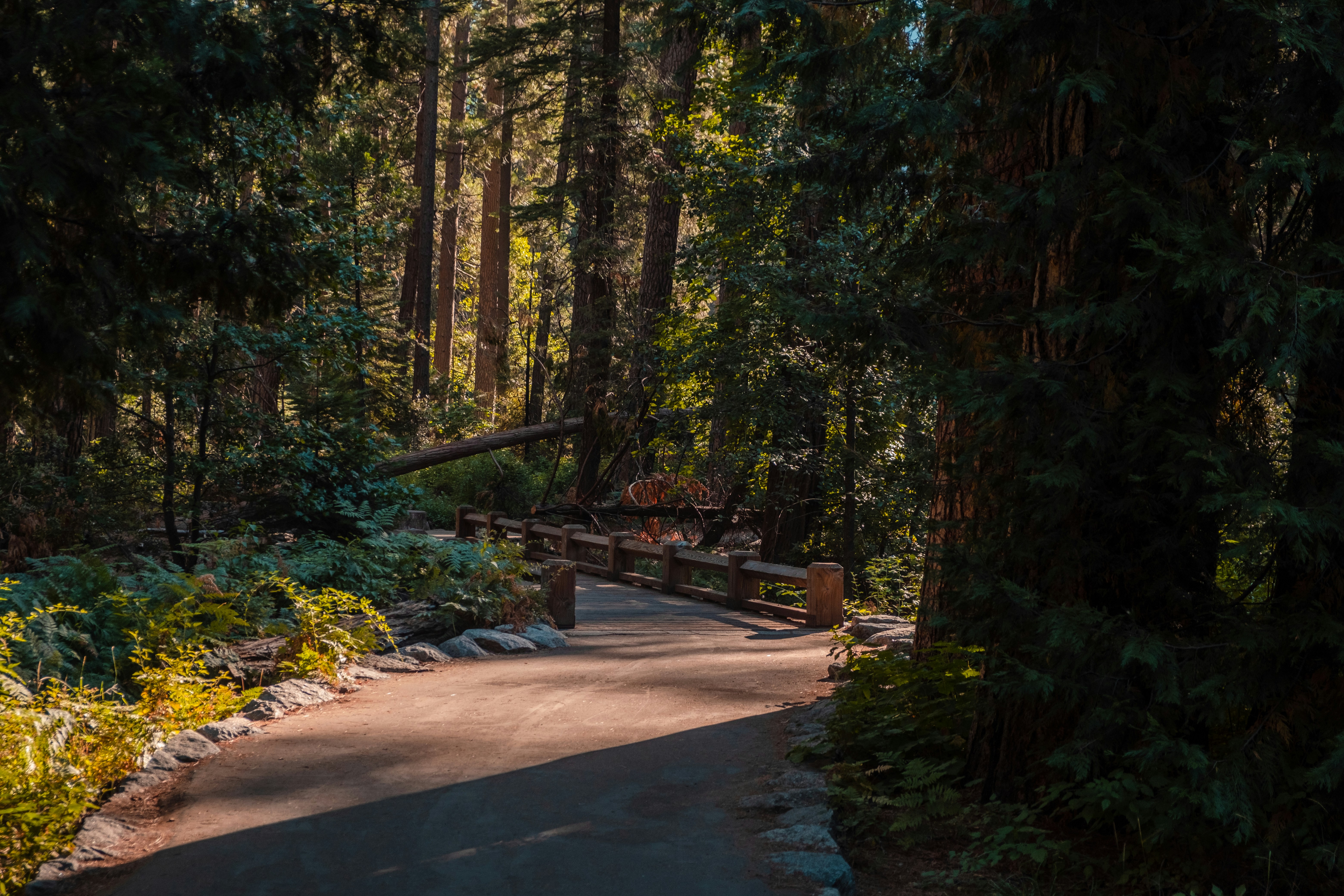 Photo by mo_design_3d