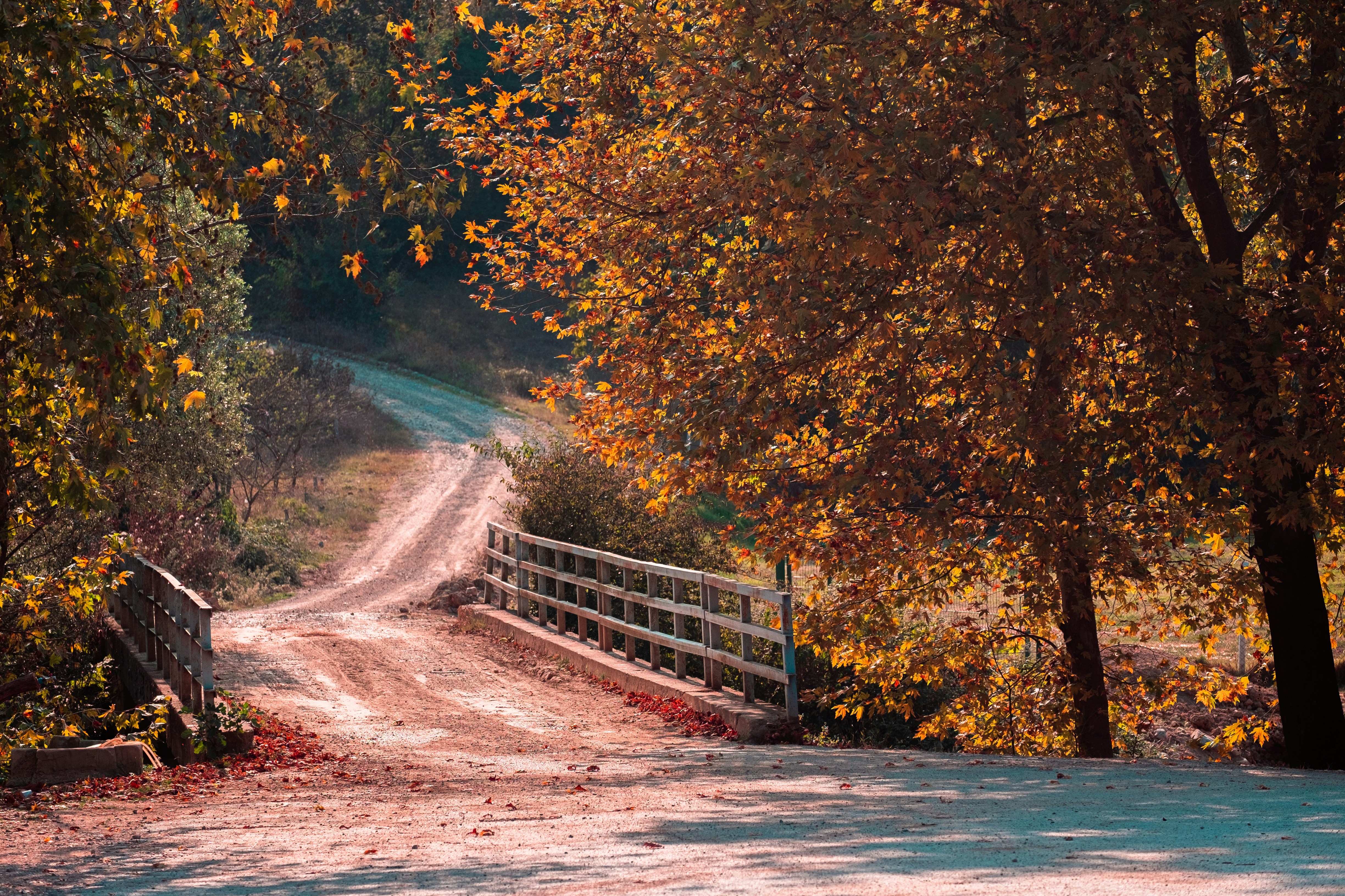 Photo by mo_design_3d