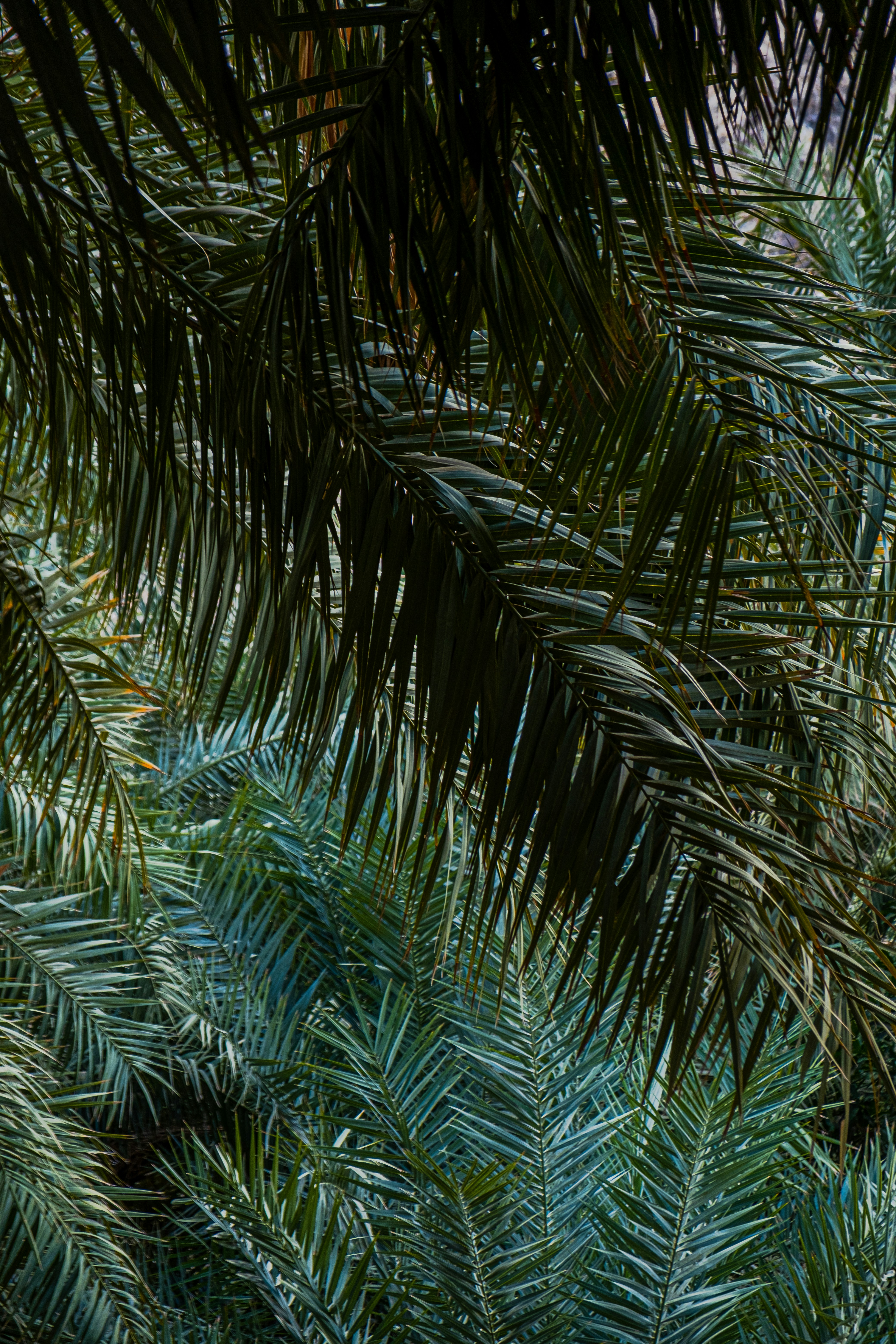 Photo by mo_design_3d