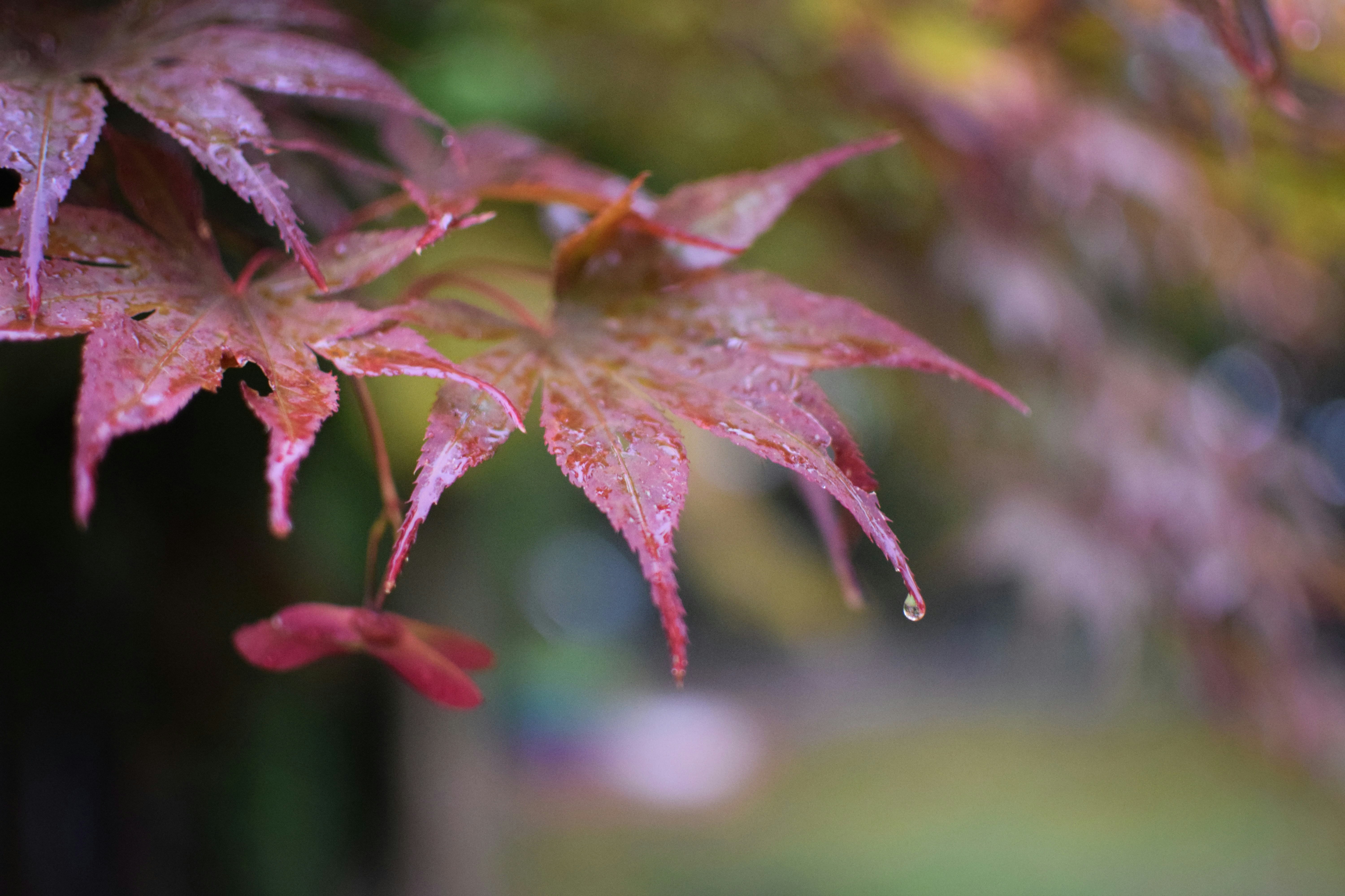 Photo by sumeyyebozkus