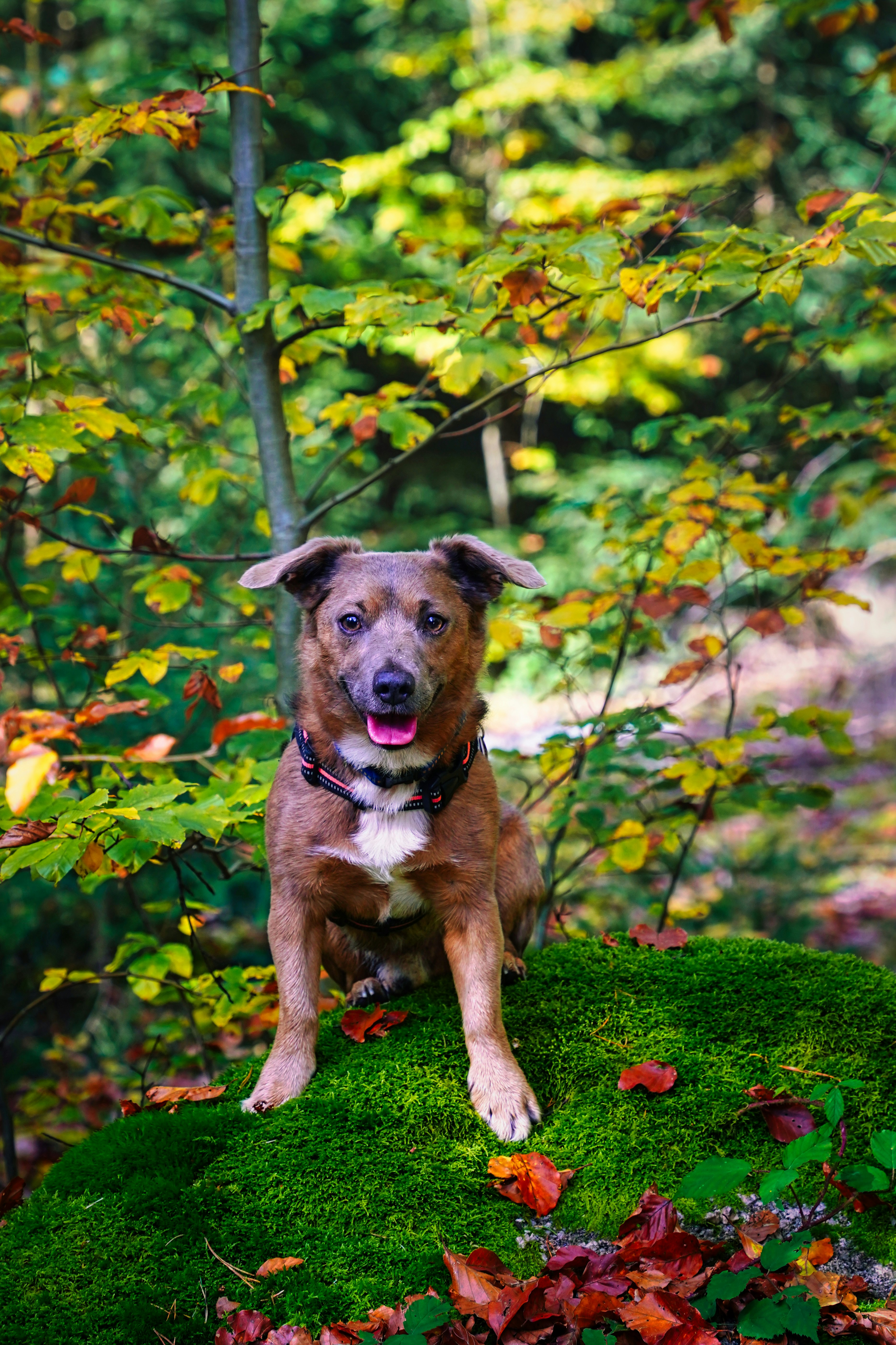 Photo by magictravel