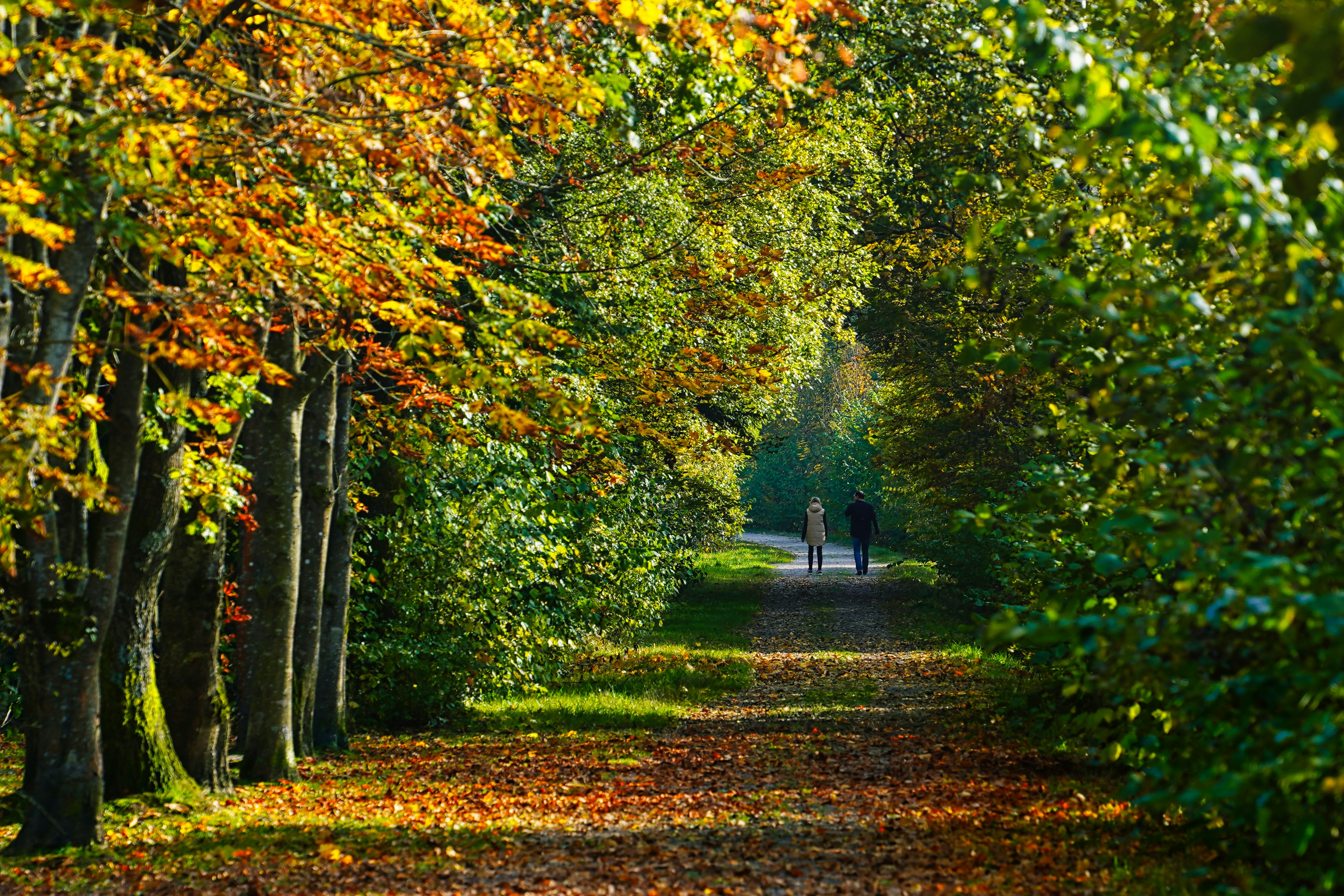 Photo by magictravel