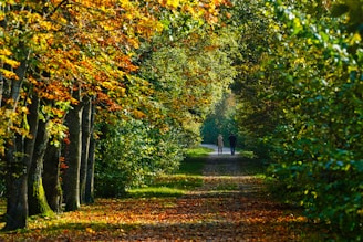 A person walking down a leaf covered road