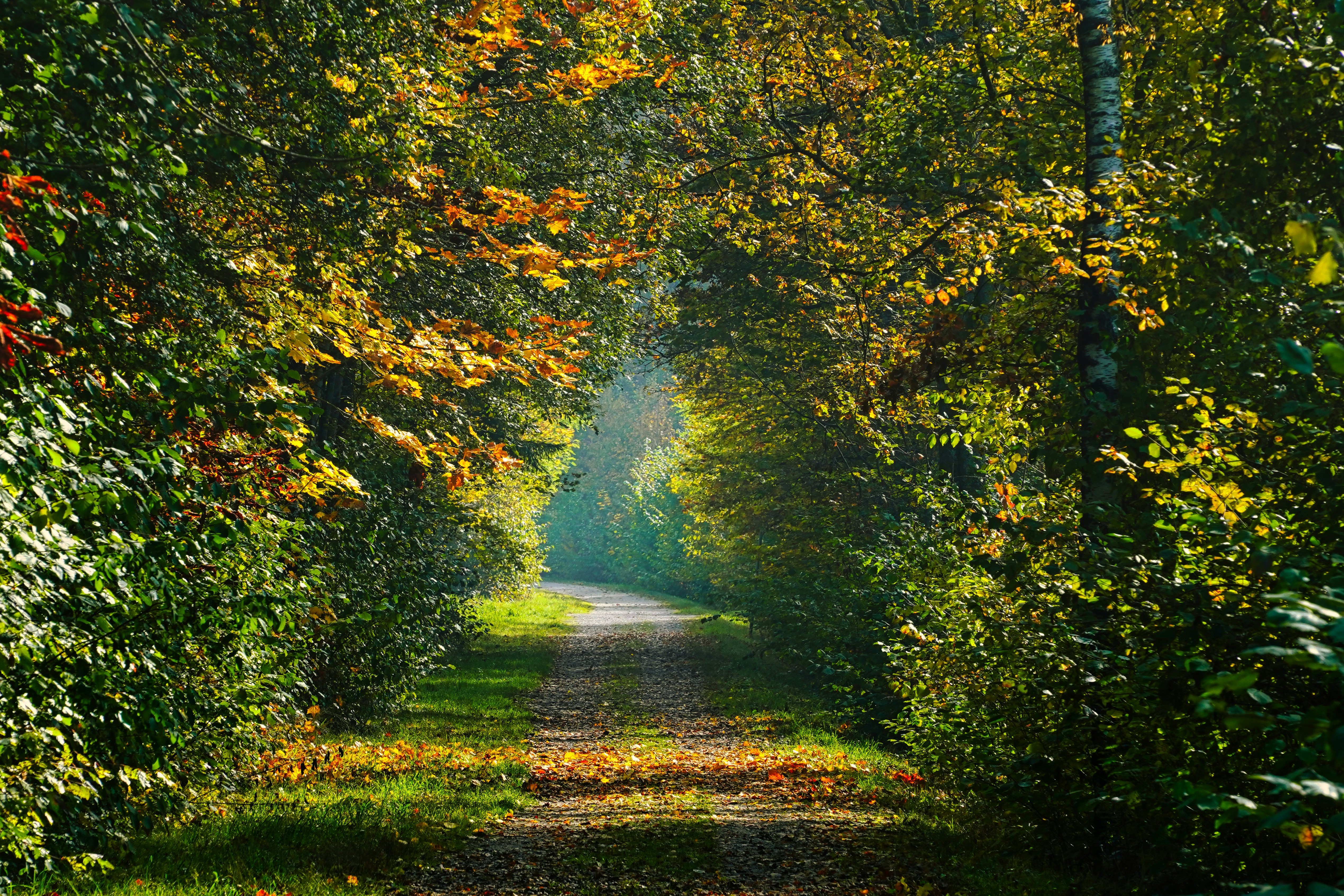 Photo by magictravel