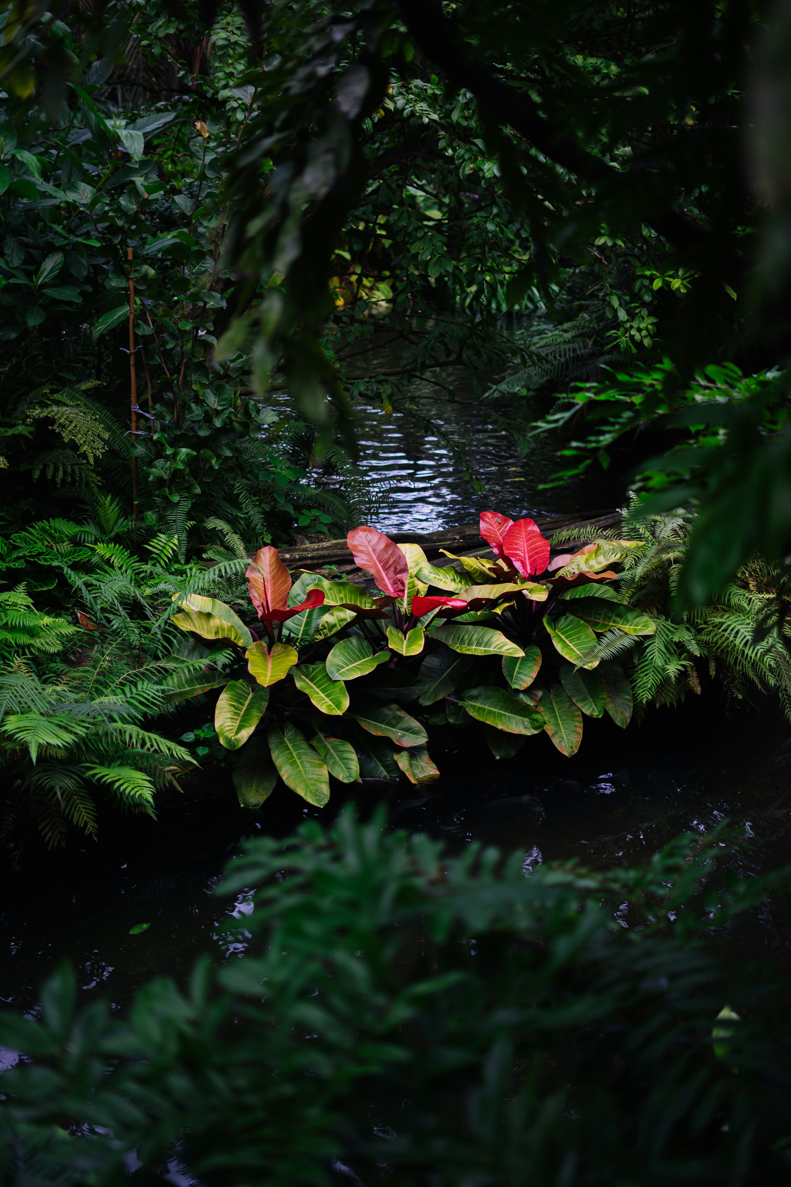 Photo by robert_lens