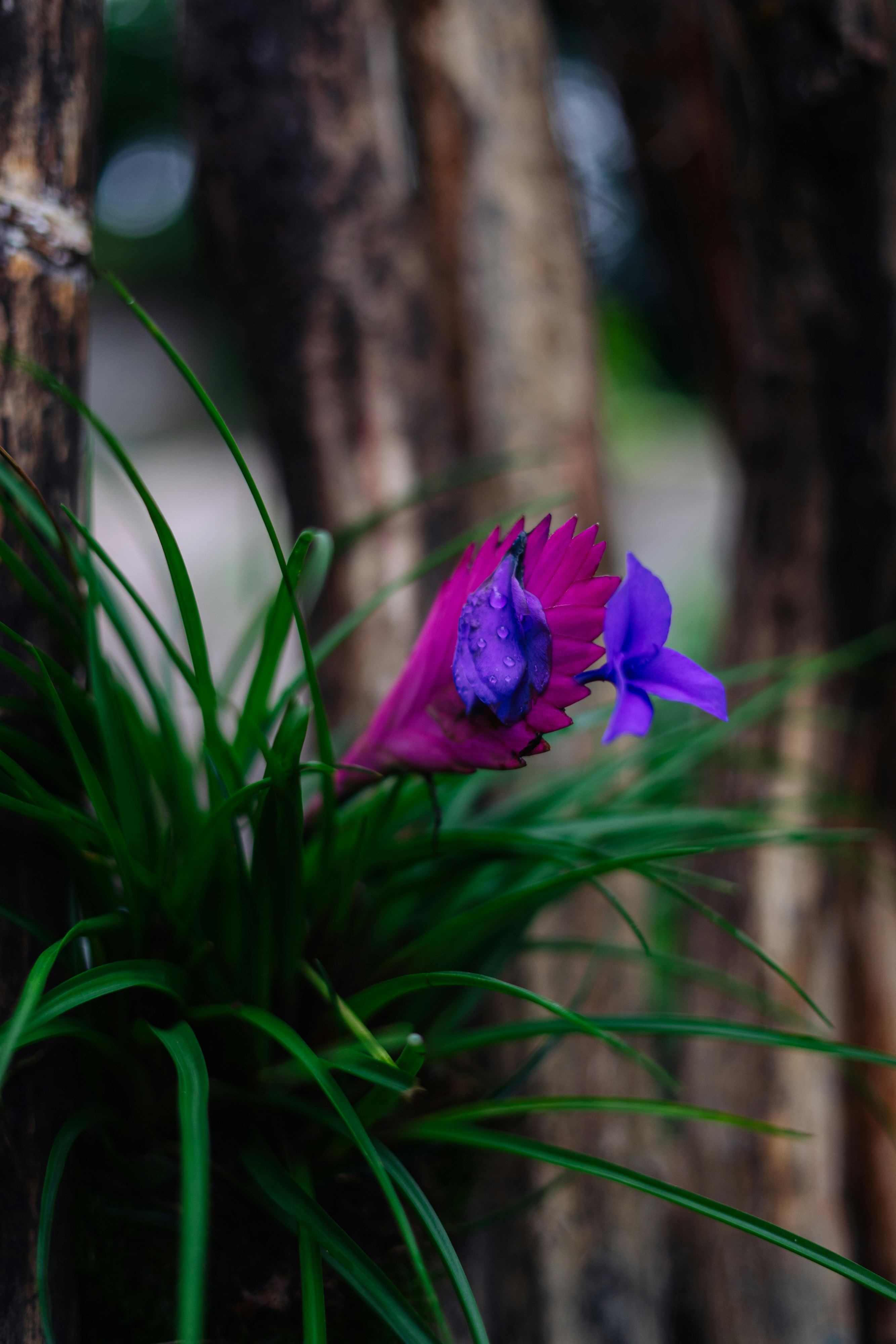 Photo by robert_lens