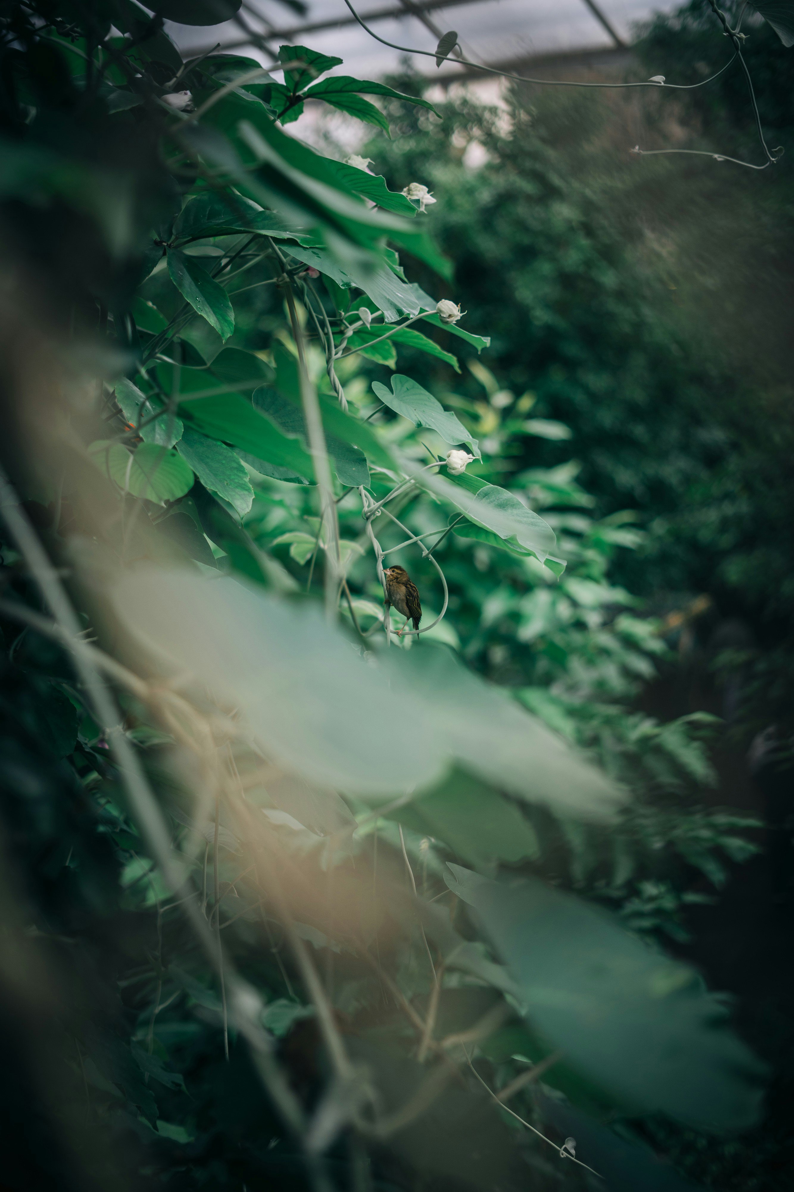 Photo by robert_lens