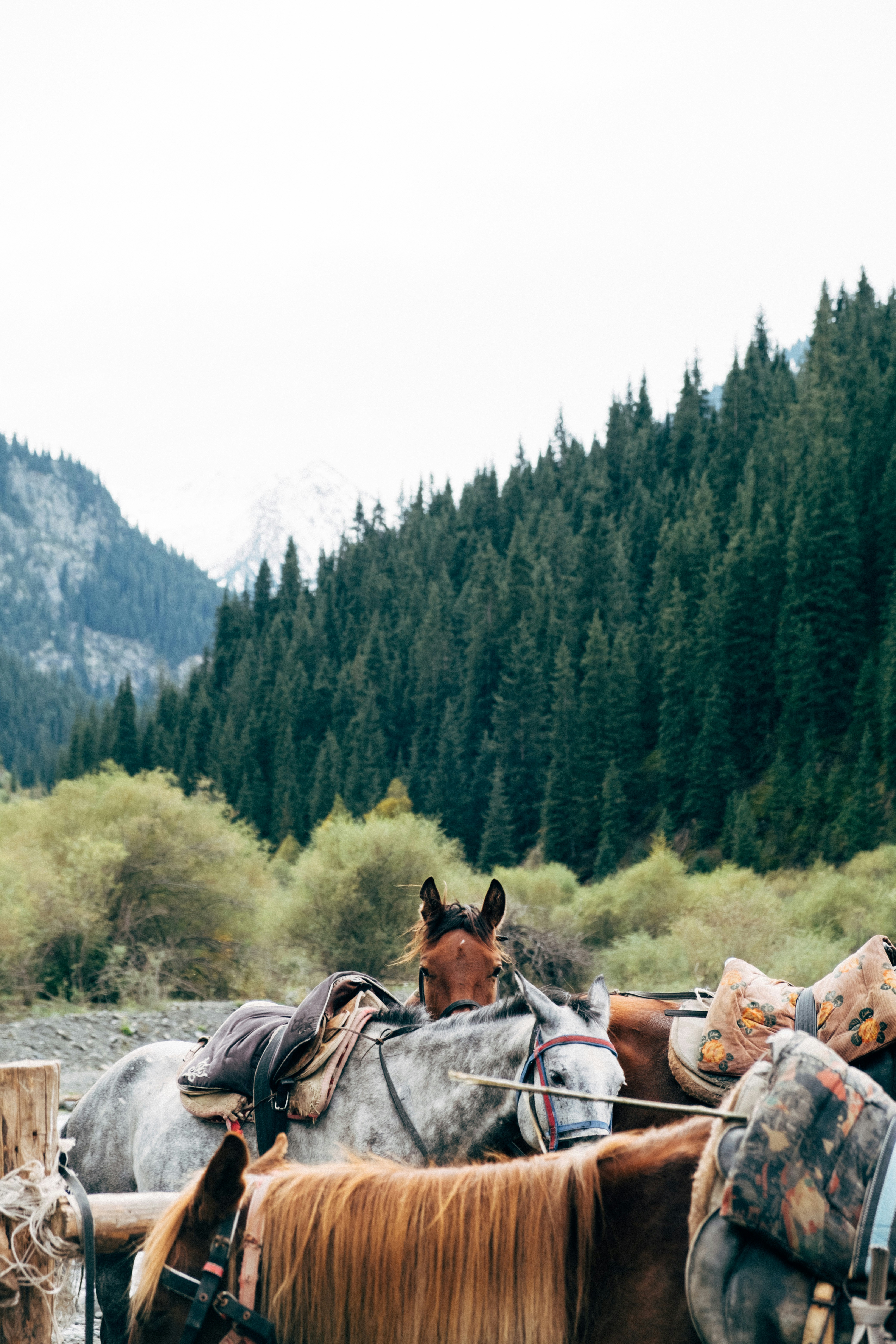 Photo by destroyer25t