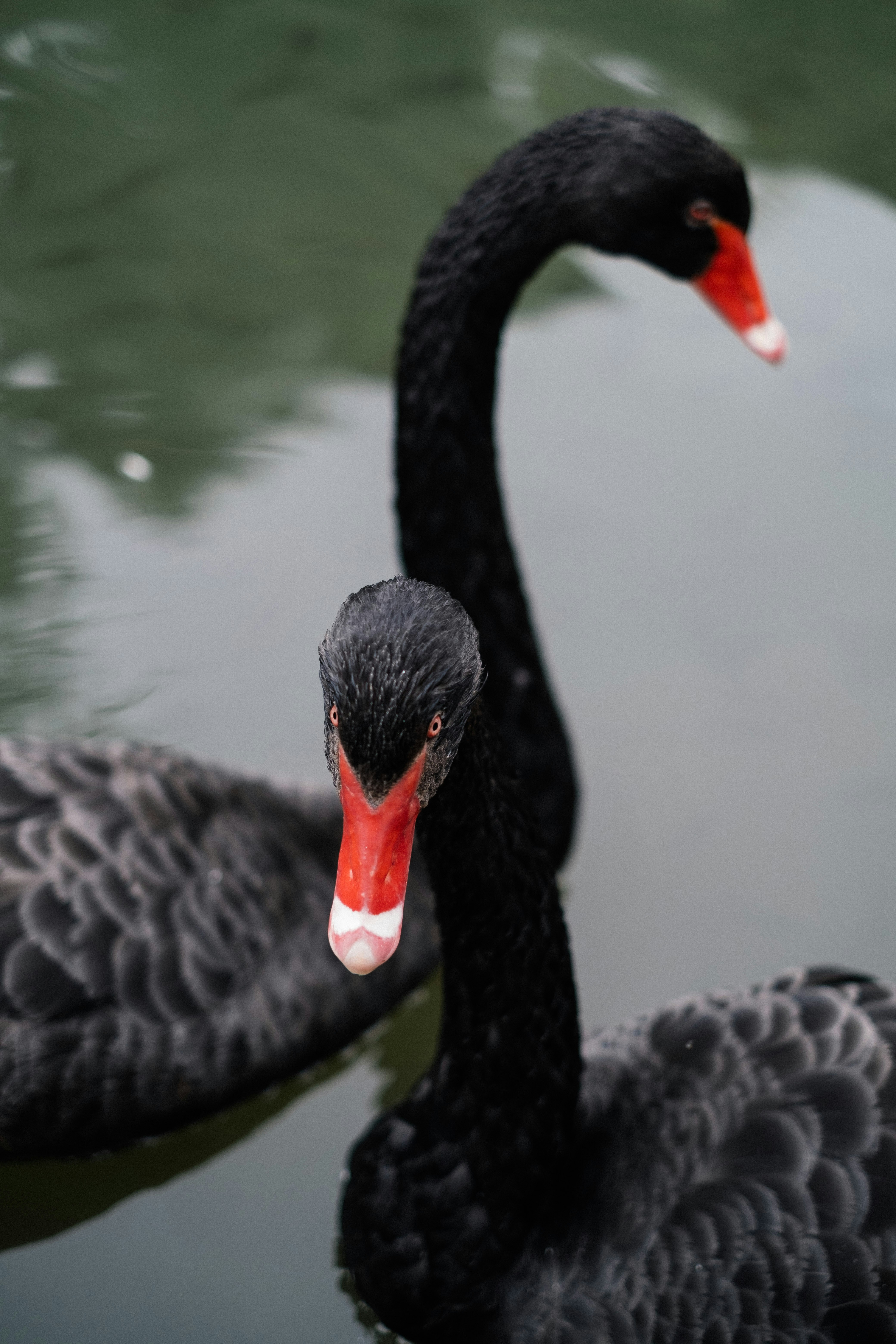 Photo by destroyer25t