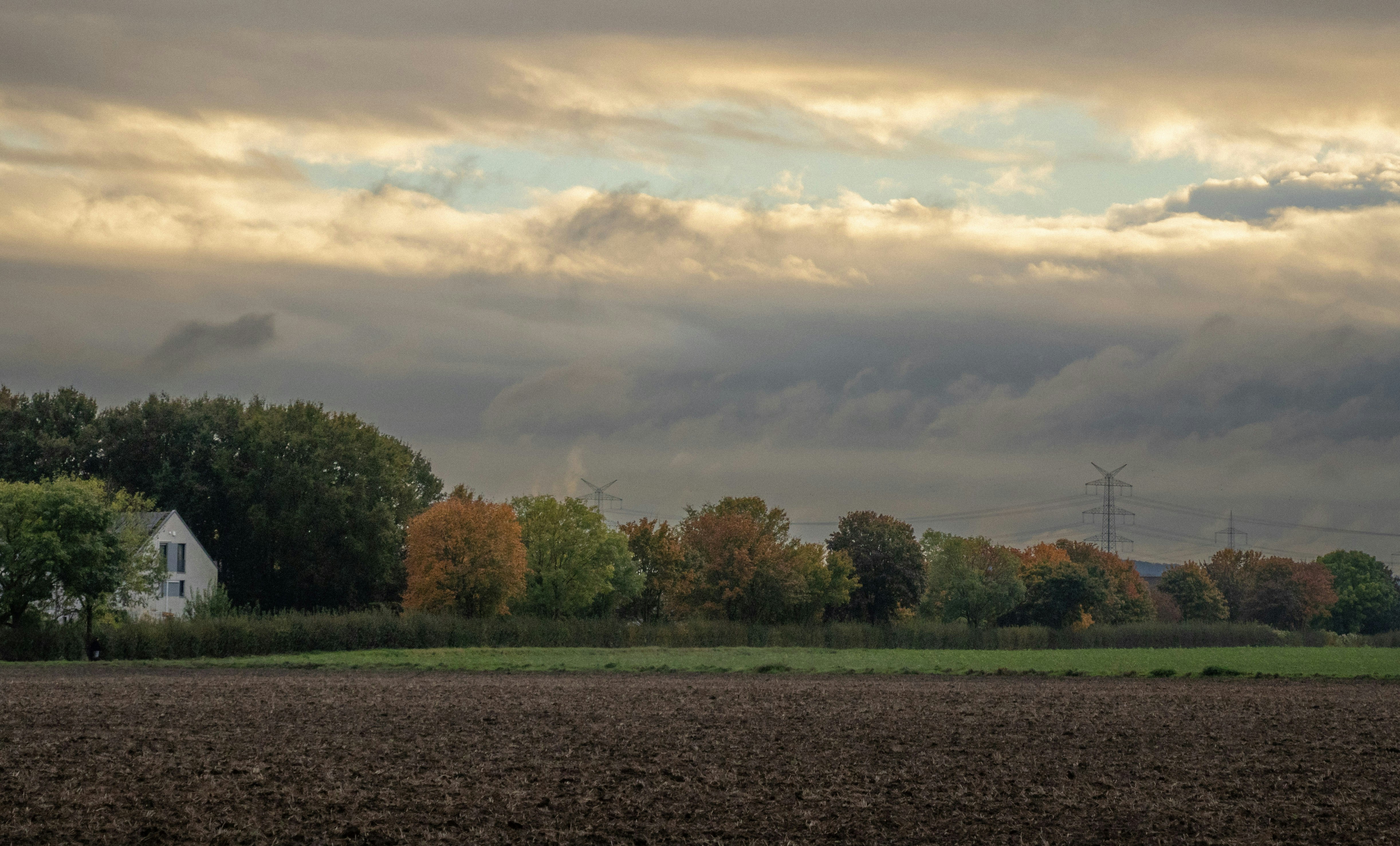 Photo by sorinbasangeac