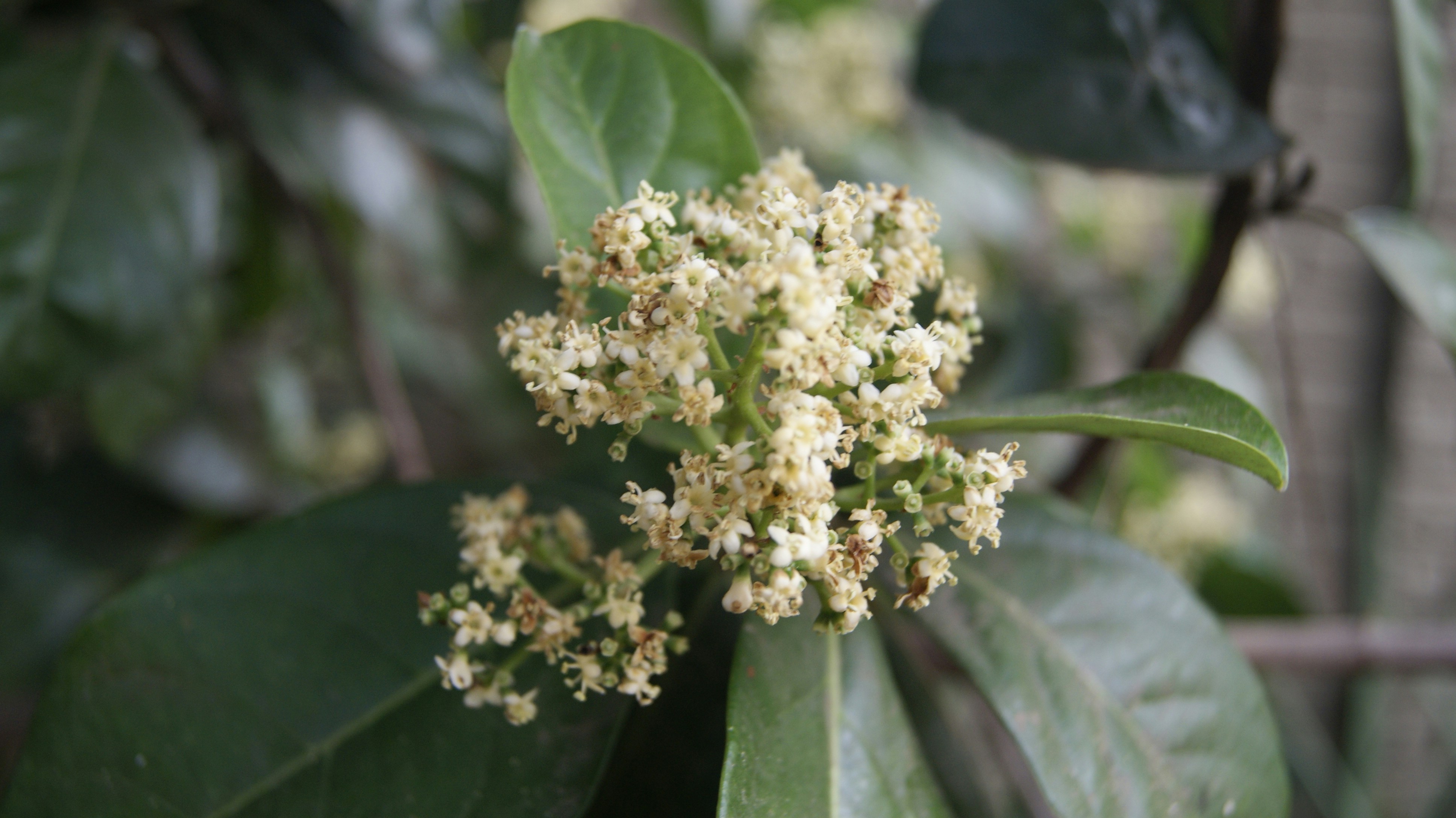 Photo by mtho_nature