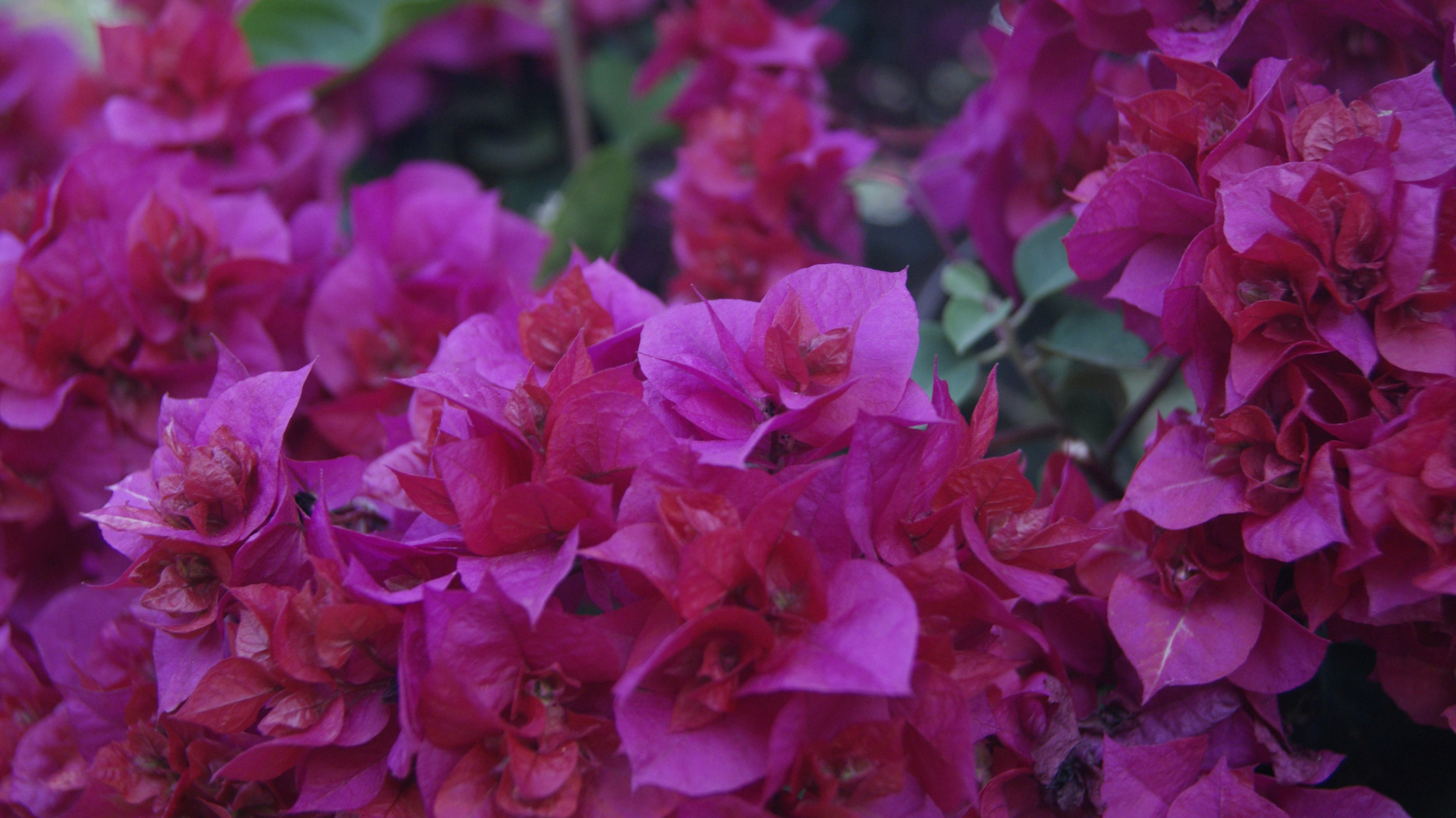 Photo by mtho_nature