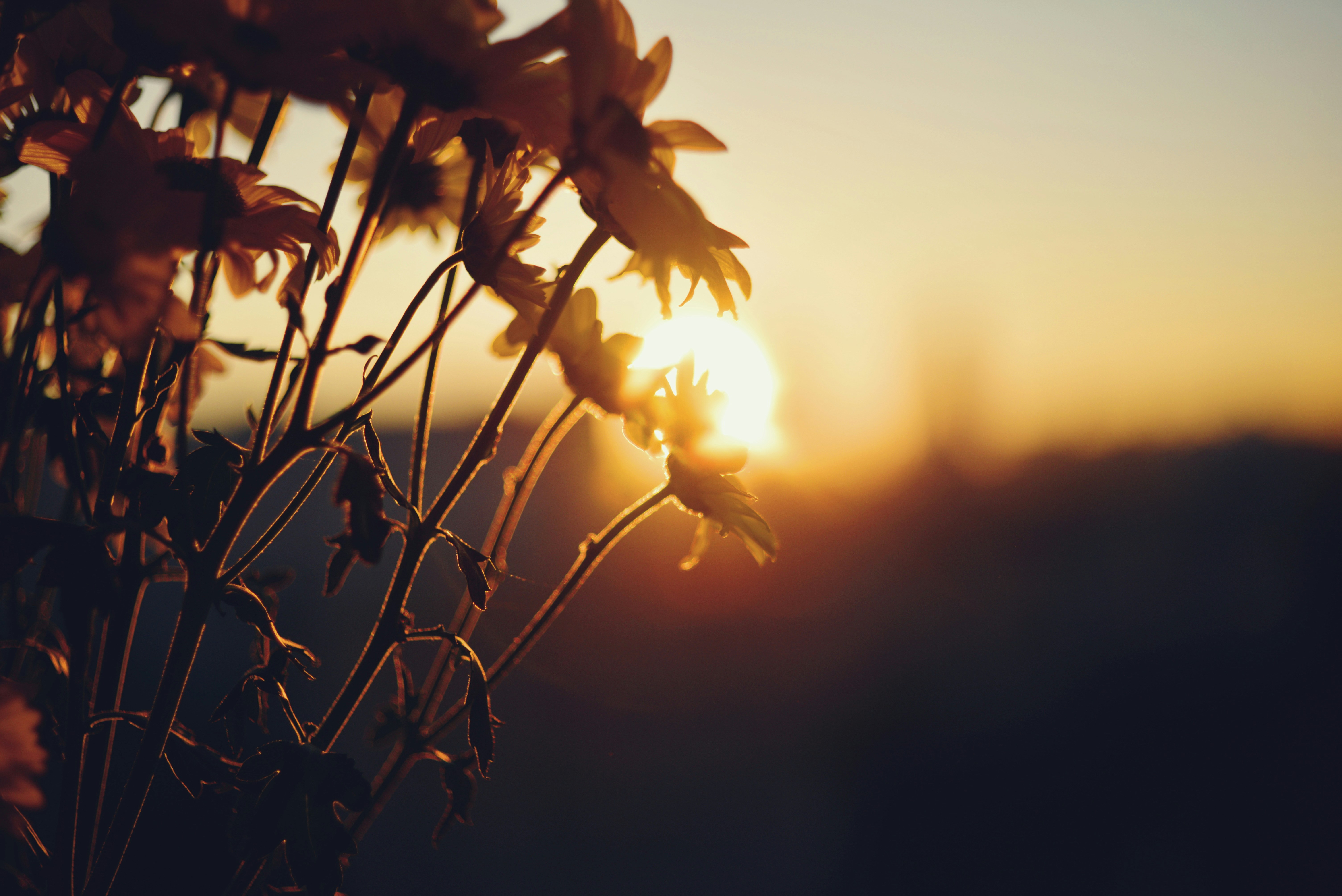 Photo by cherstve_pechivo