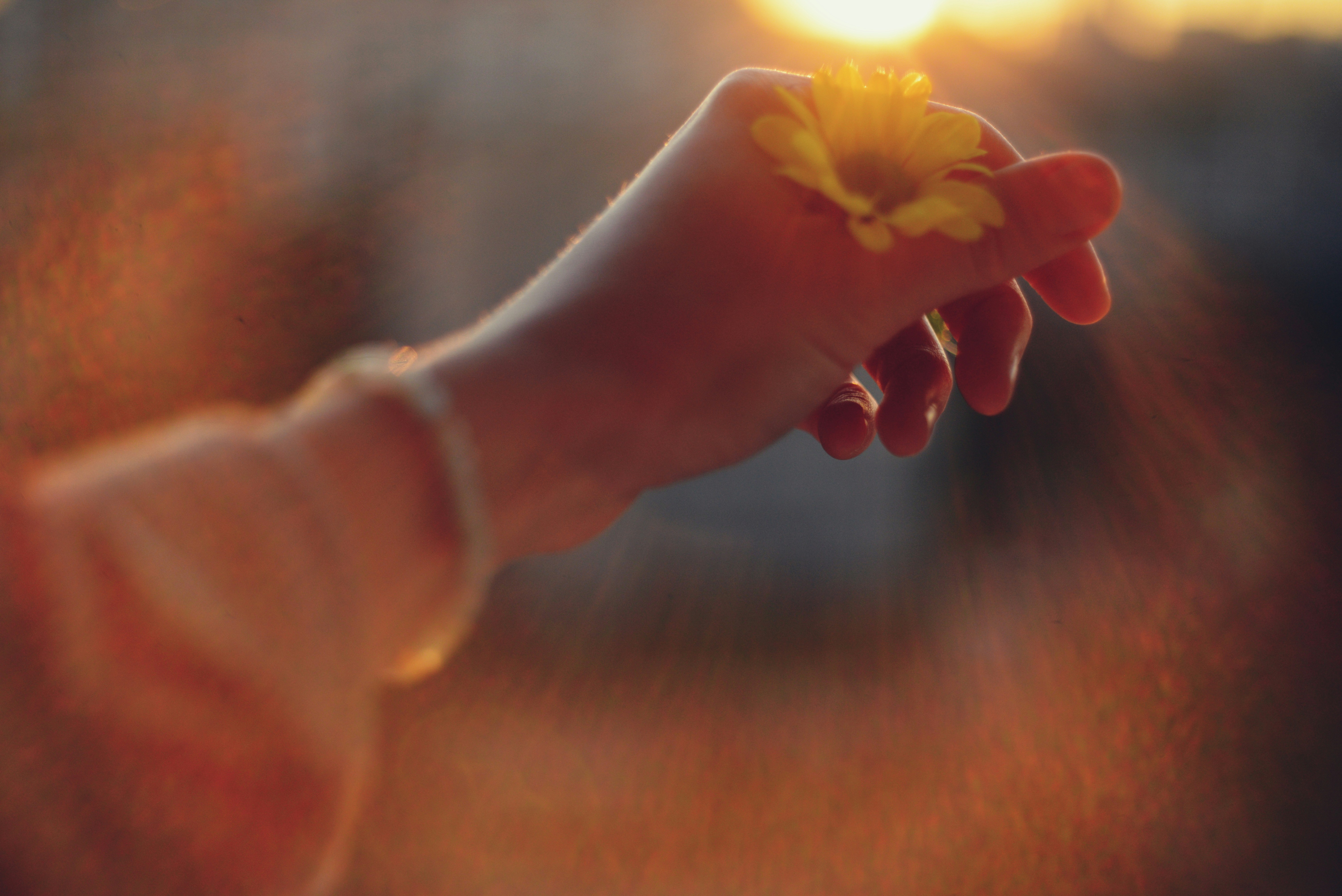 Photo by cherstve_pechivo