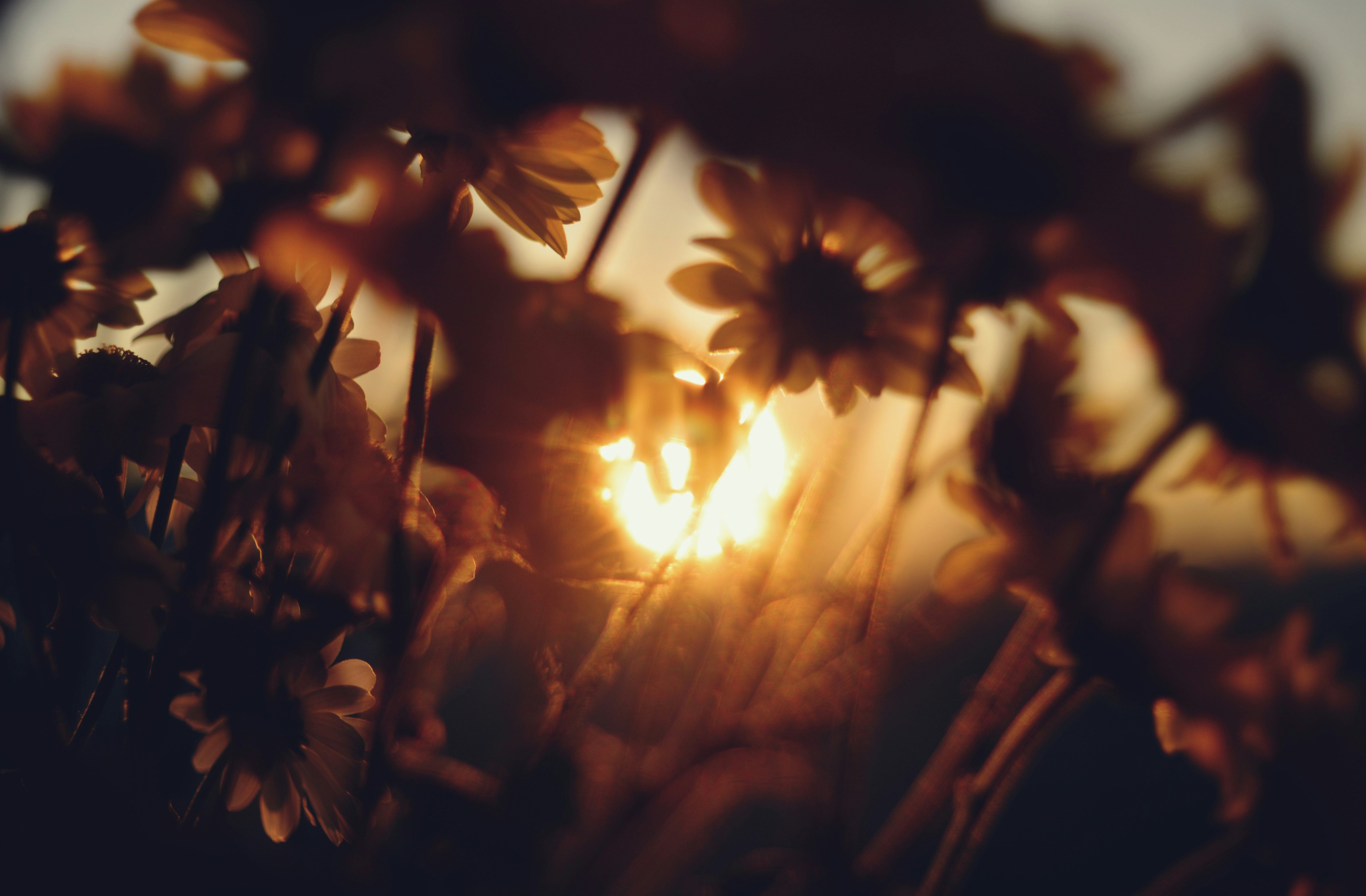 겨울철 가스비 절약으로 캐시백 받을 수 있는 제도 알아보기