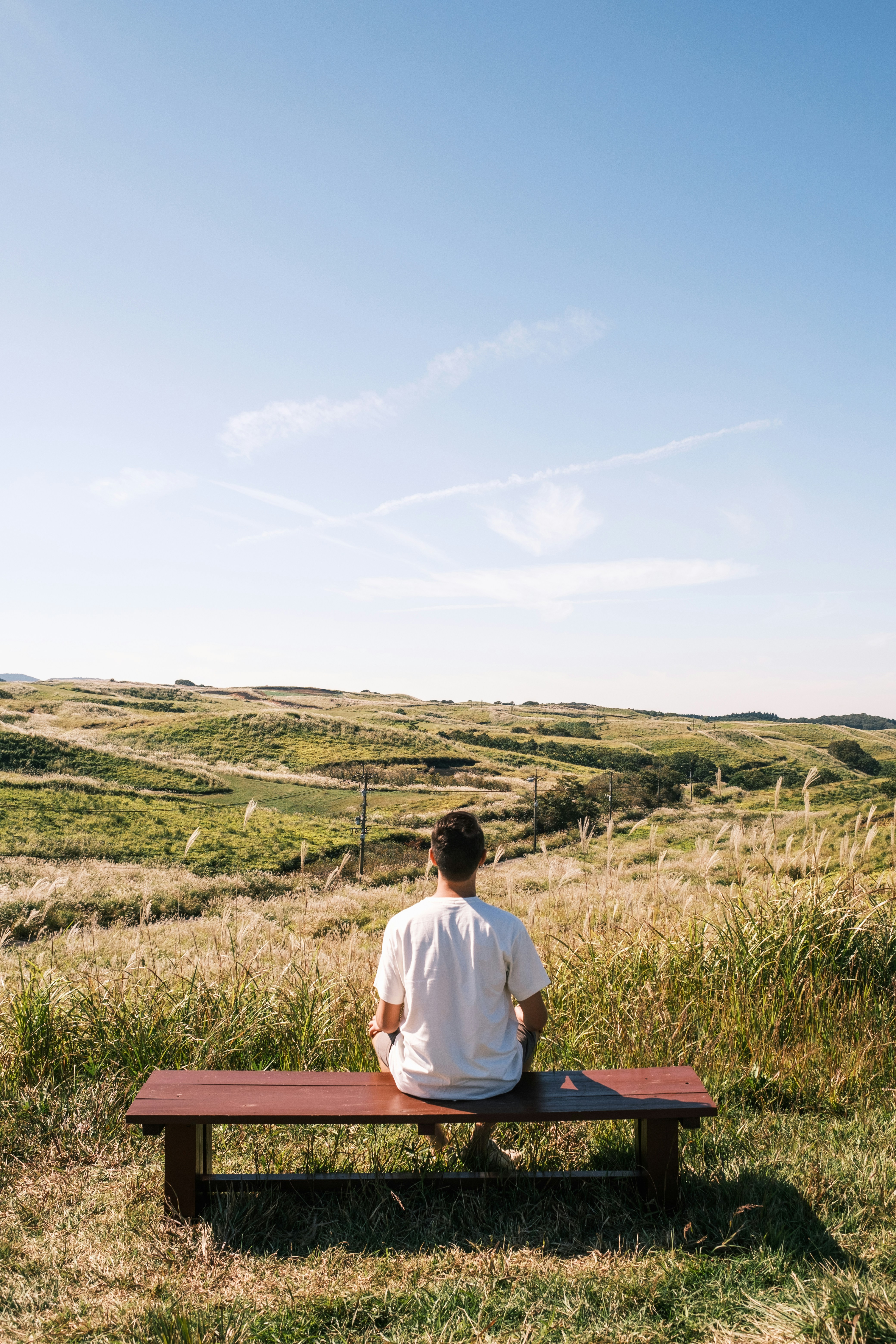 A man sitting on a bench in a field