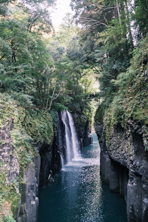A waterfall in the middle of a river surrounded by trees