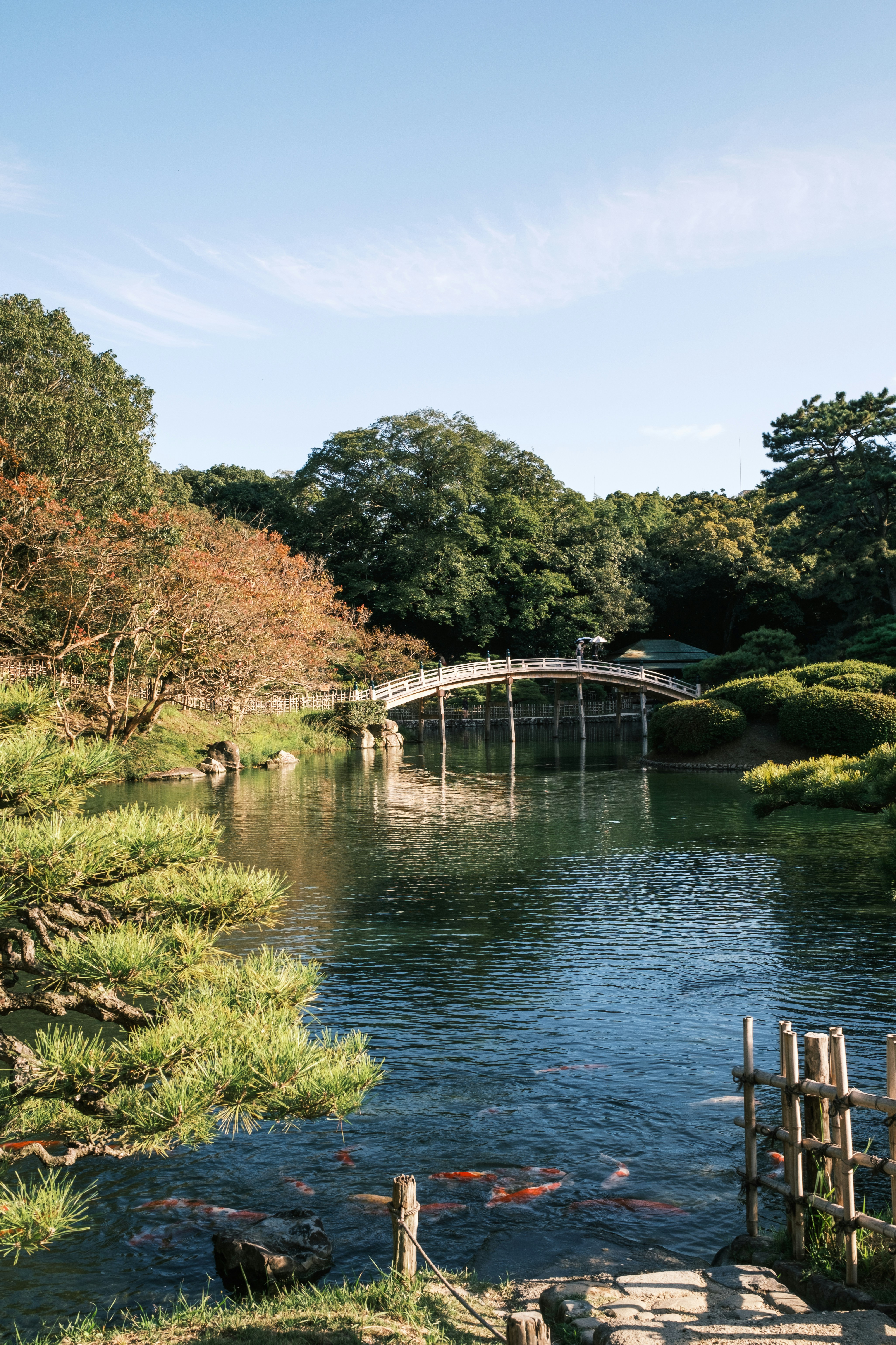 A small bridge over a small pond in a park